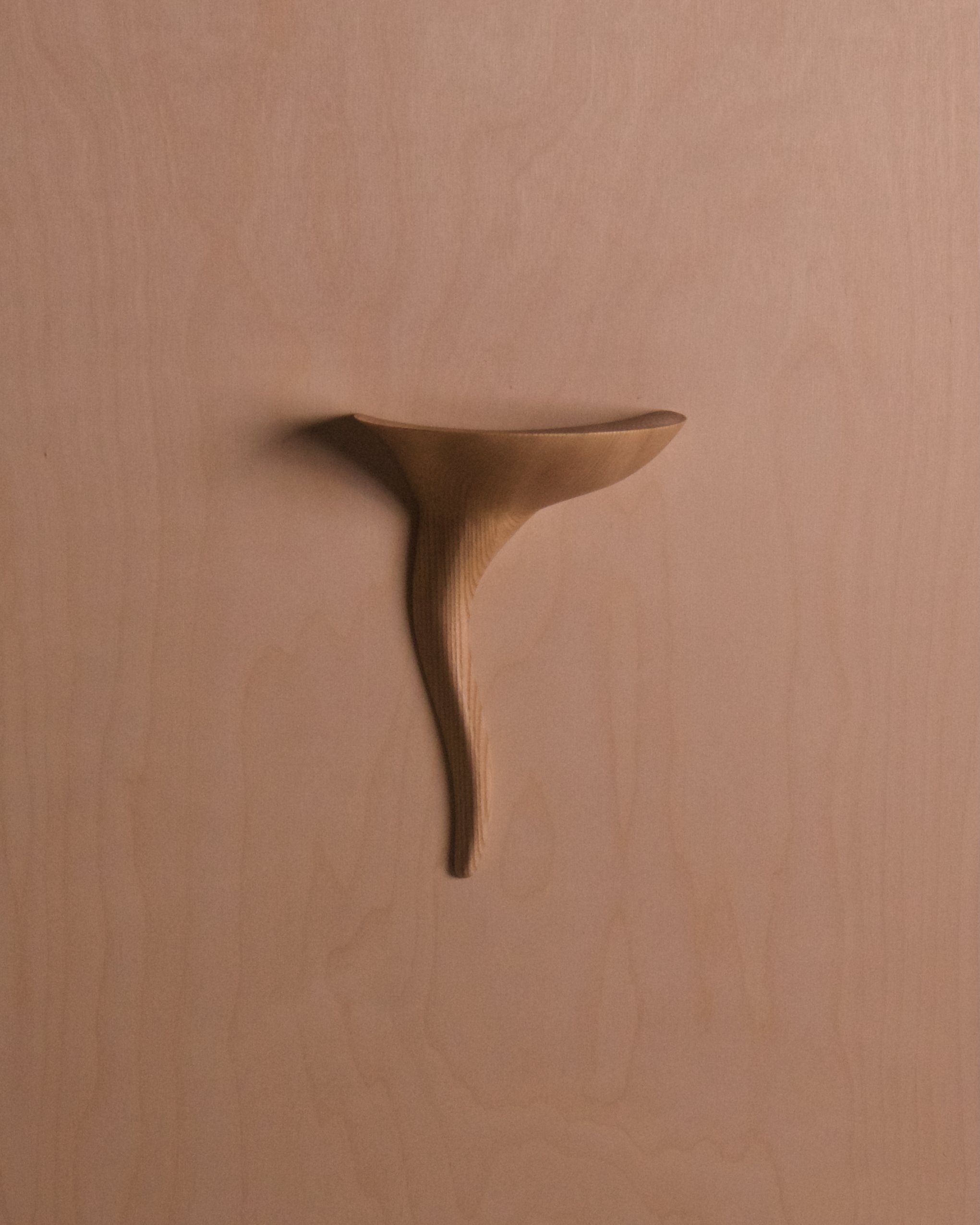 Wall Whisp Key Holder 1.jpeg