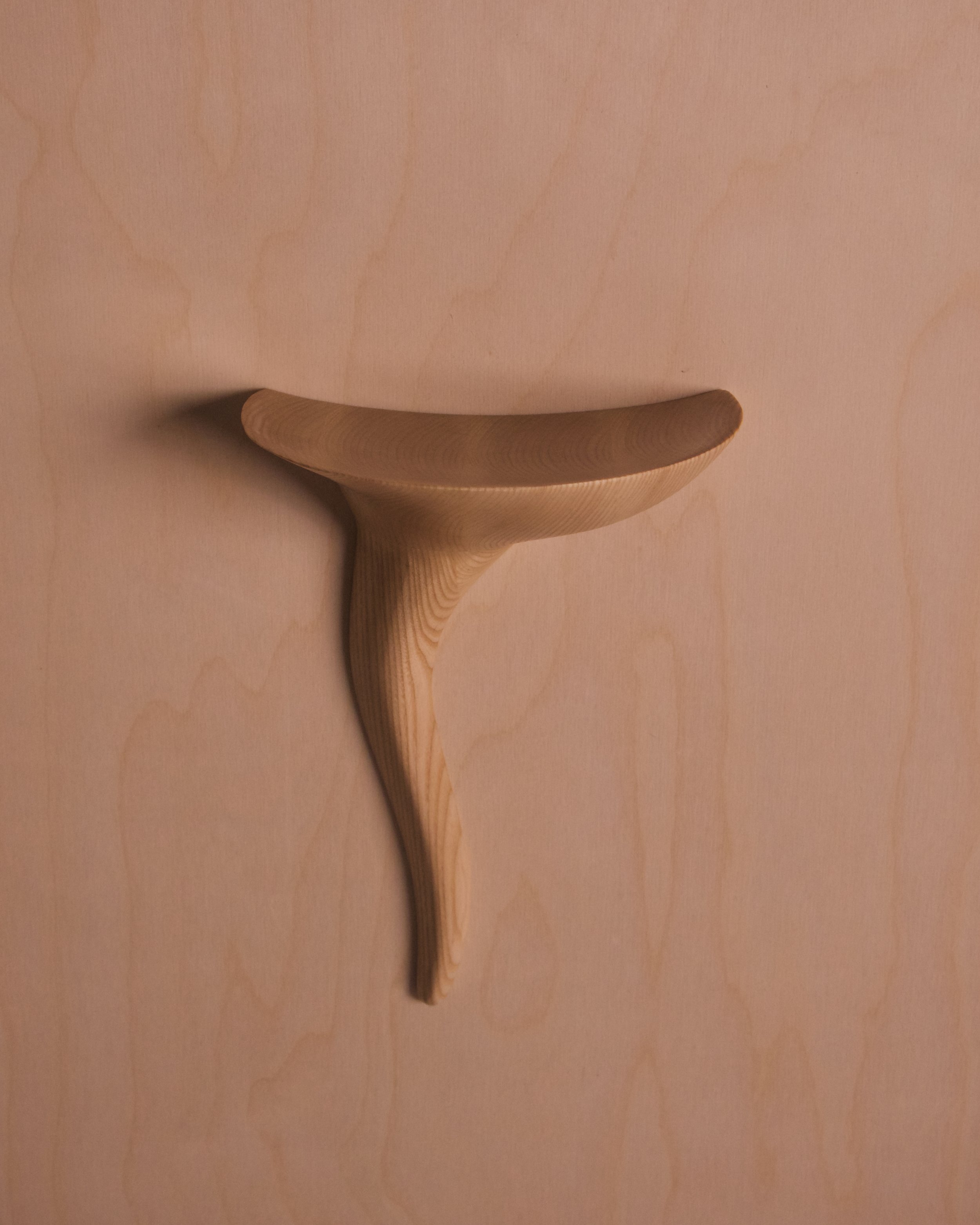 Wall Whisp Key Holder 2.jpeg