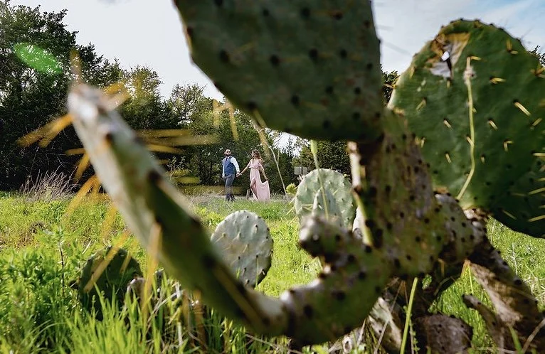 Image 12-2-23 at 11.50 PM (4).jpeg