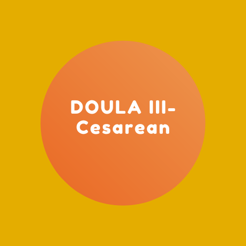 Circle Initial Logo (5).png
