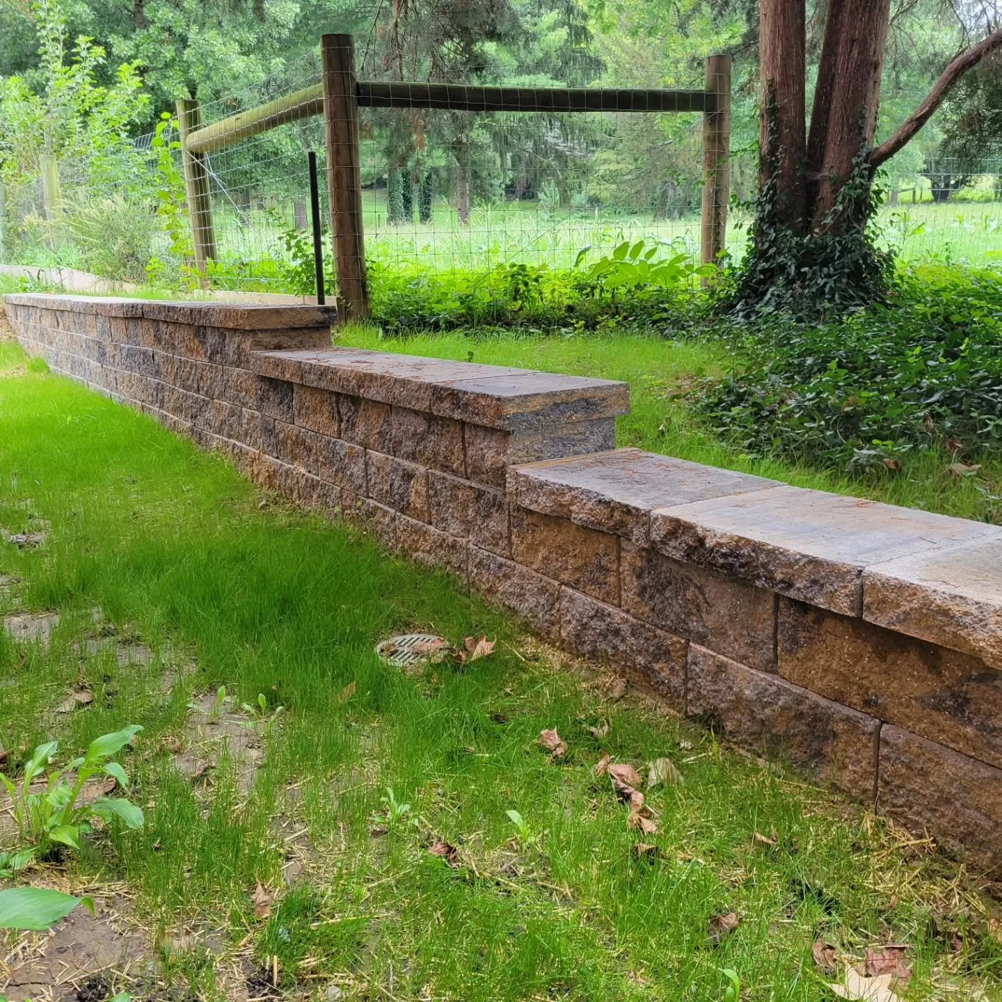 Our versa-lock retaining wall project turned out beautifully since &quot;Gray the cat&quot; helped supervise!