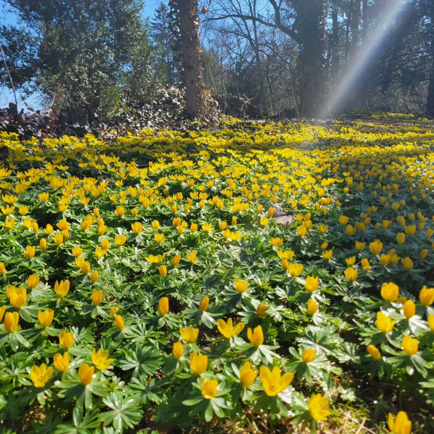 WE'RE BACK BABY! Maybe we are a little premature, but we'll say it- SPRING HAS SPRUNG! And if your steps look like these 😬 Give us a call! 717.201.9869