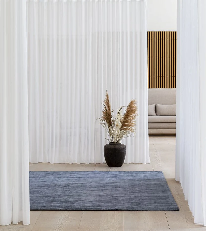 A light-filled room with a blue carpet and a black vase.