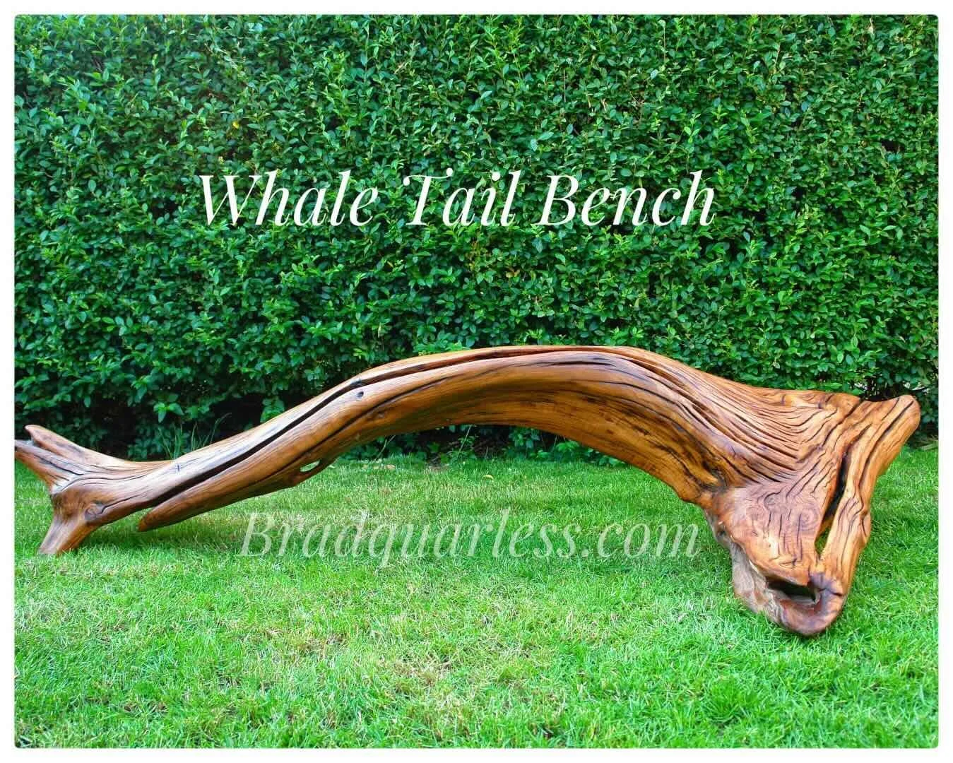 Banc en bois sculpté et naturel placé sur une pelouse verte, avec un buisson dense en arrière-plan. Il est appelé "Whale Tail Bench".