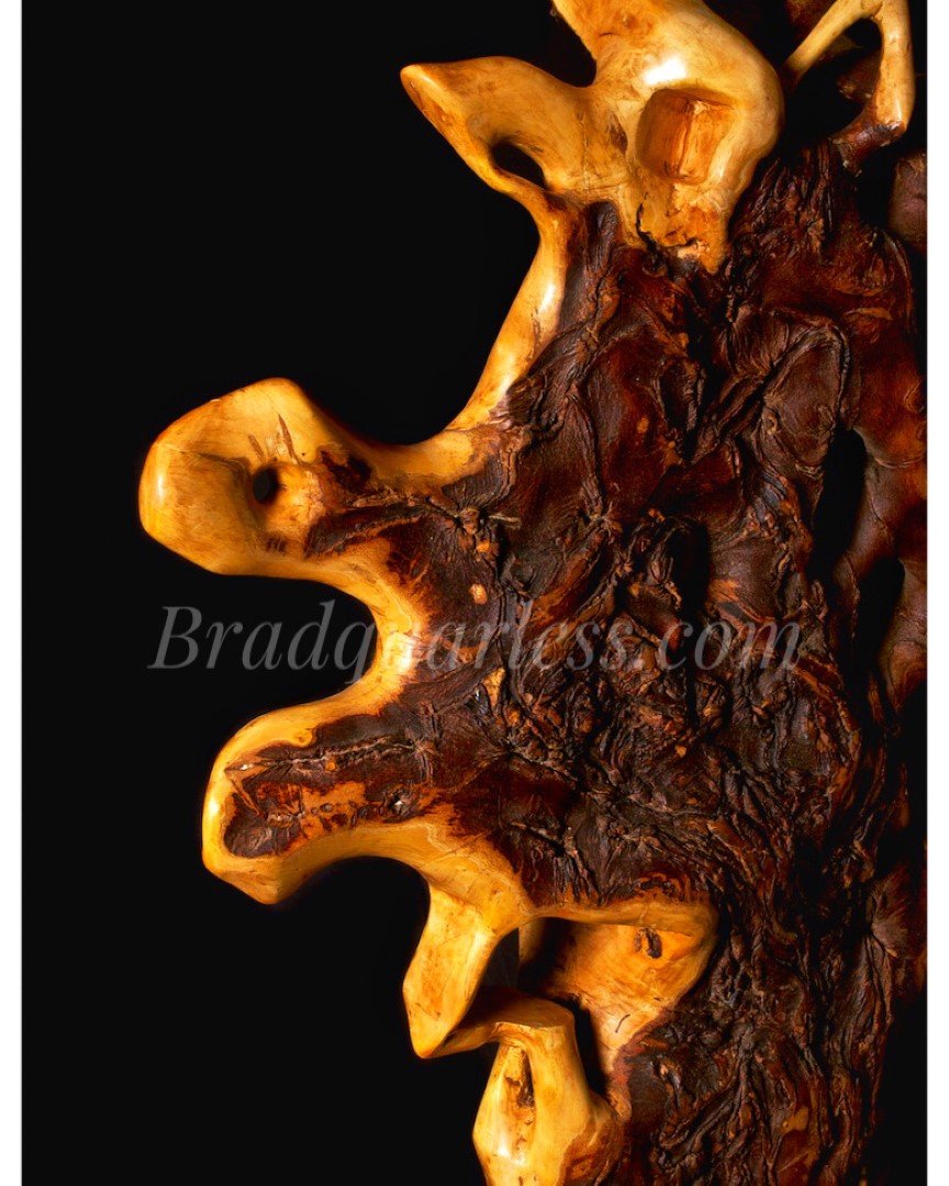 Une pièce en bois sculptée avec des détails naturels et des textures riches, couleur miel et brun, sur un fond noir.