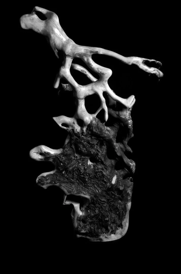 Une structure en forme de racine ou de corail, en blanc et noir, contre un fond noir.