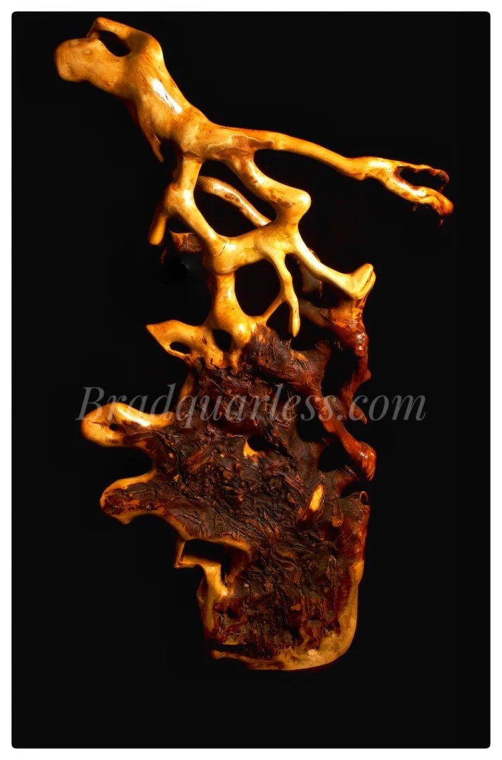 Une sculpture abstraite en bois poli avec des formes organiques complexes, sur un fond noir.