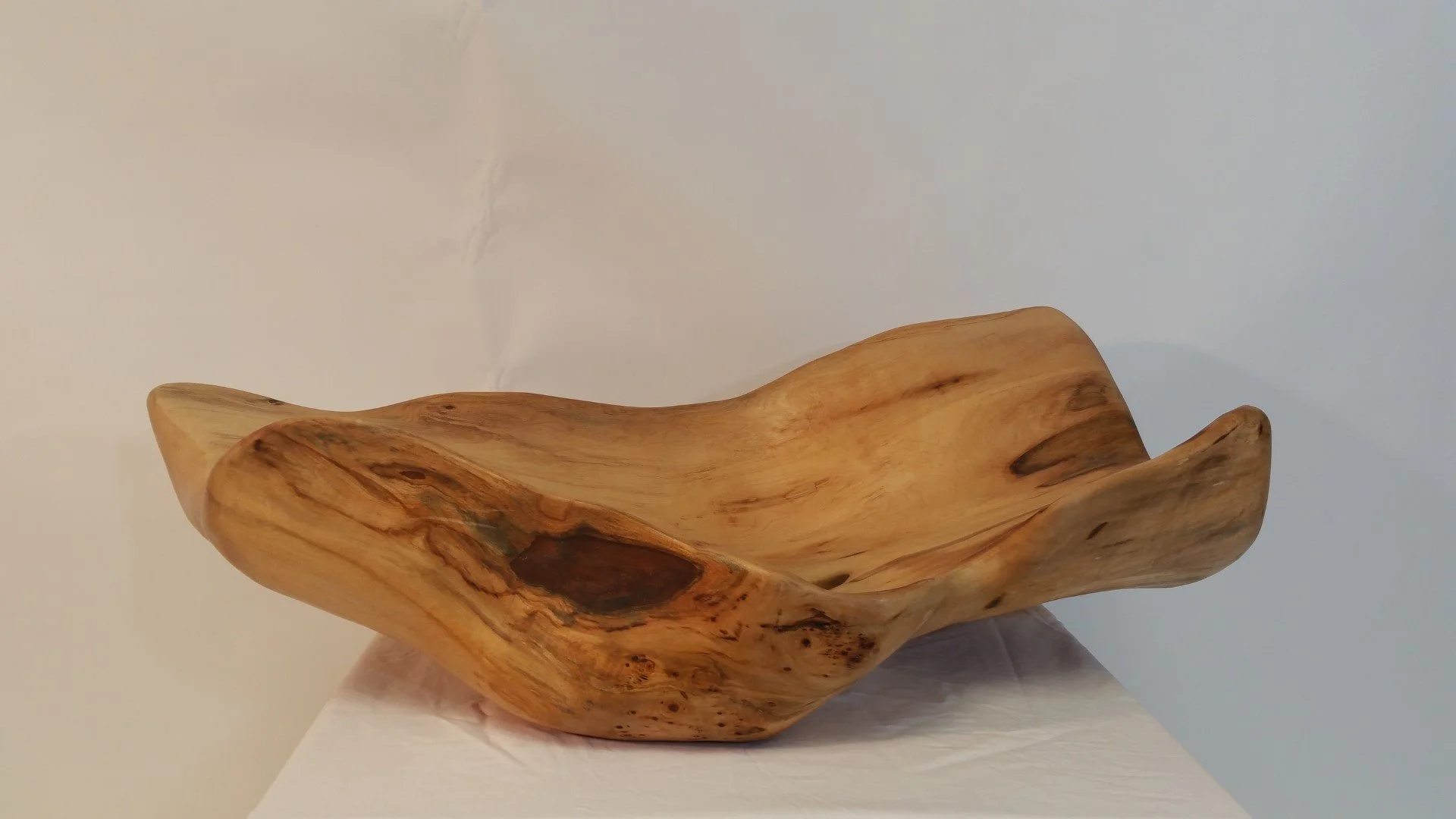 Une sculpture en bois sculptée de façon organique, avec des courbes fluides et des couleurs naturelles, posée sur une surface blanche contre un mur blanc.