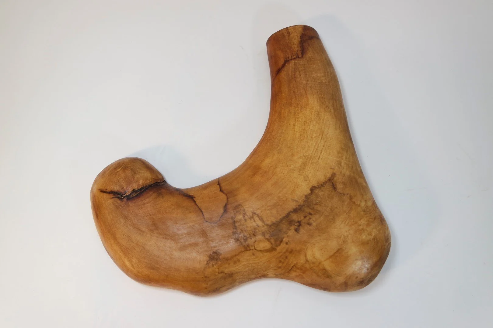Un objet en bois courbé avec une surface lisse et des craquelures, ressemblant à une pièce de décoration ou artistique.