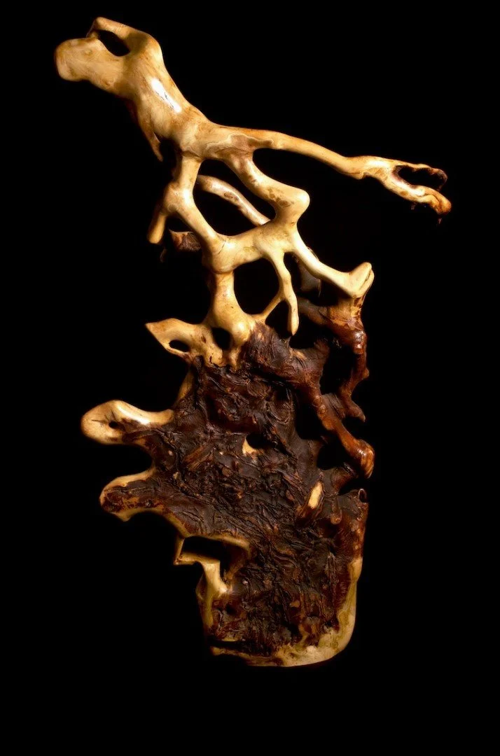 Une sculpture abstraite faite de bois clair et foncé, avec des formes organiques et creuses, sur un fond noir.