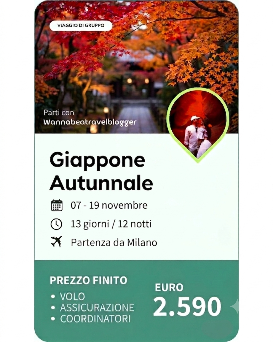 Volantino pubblicitario di un viaggio di gruppo in Giappone e Disneyland Tokyo a  novembre, con dettagli su date, durata, partenza, prezzo finale di 2.990 euro