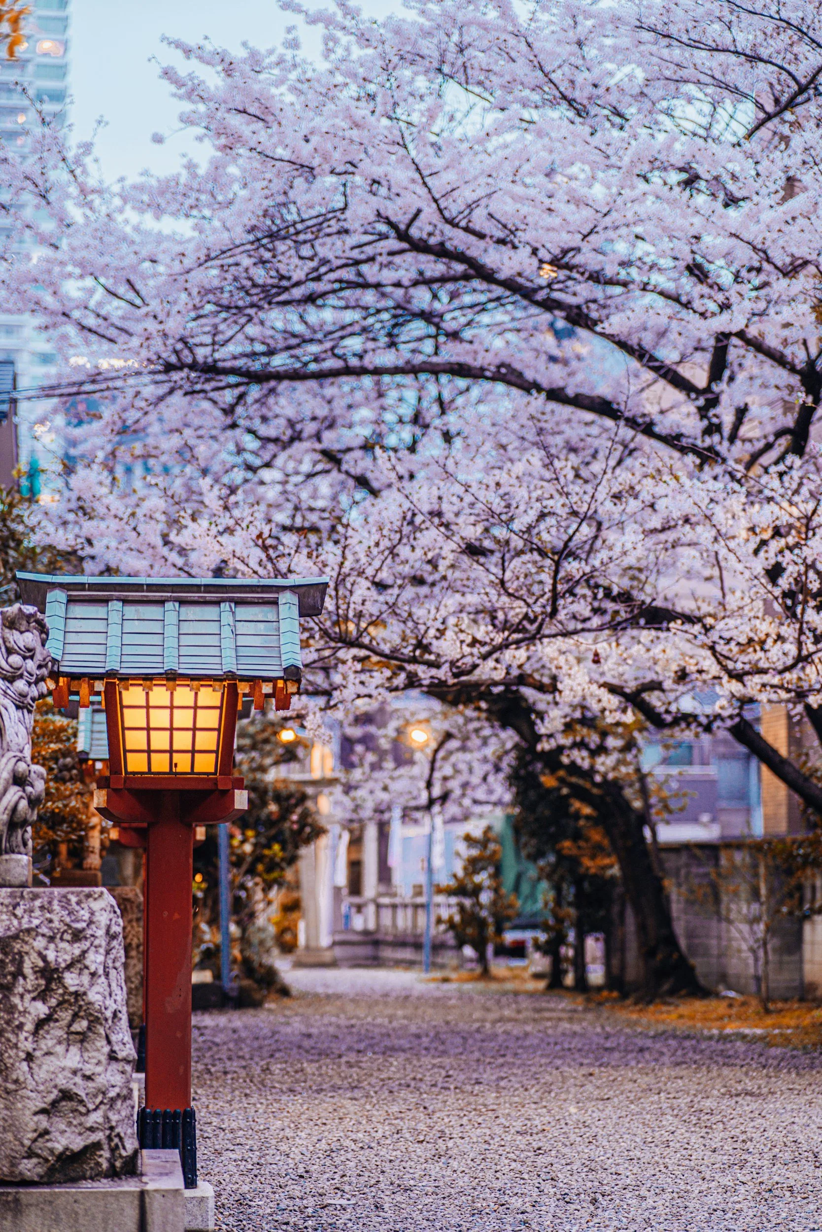 unsplash-image-GZm7LhJWSvQ.jpg