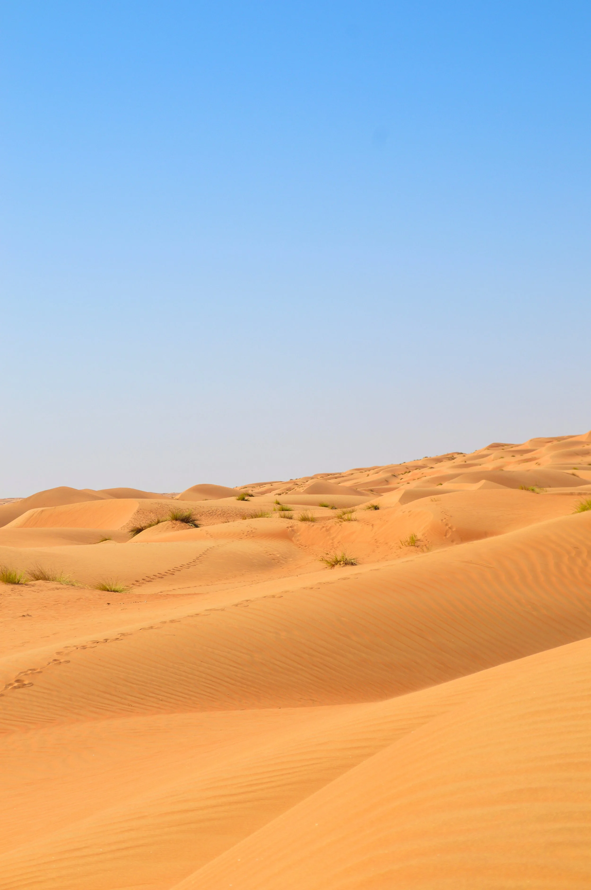 oman deserto.jpeg