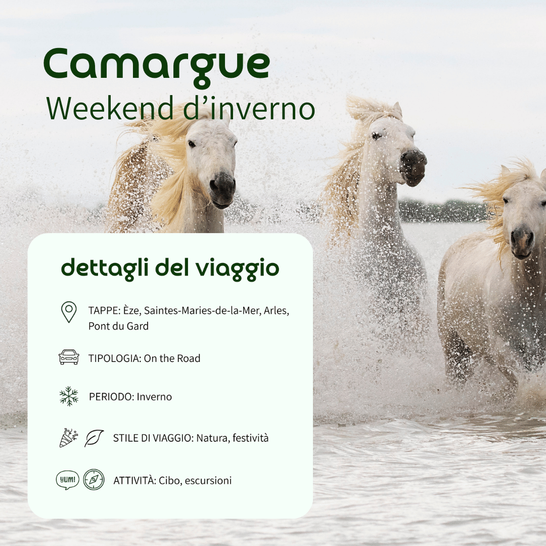 Weekend d’inverno in Camargue