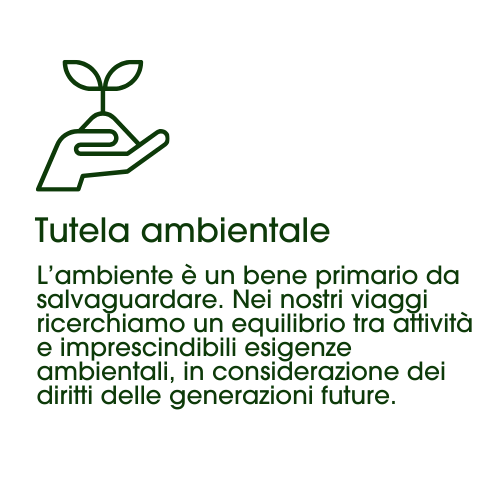 tutela.png