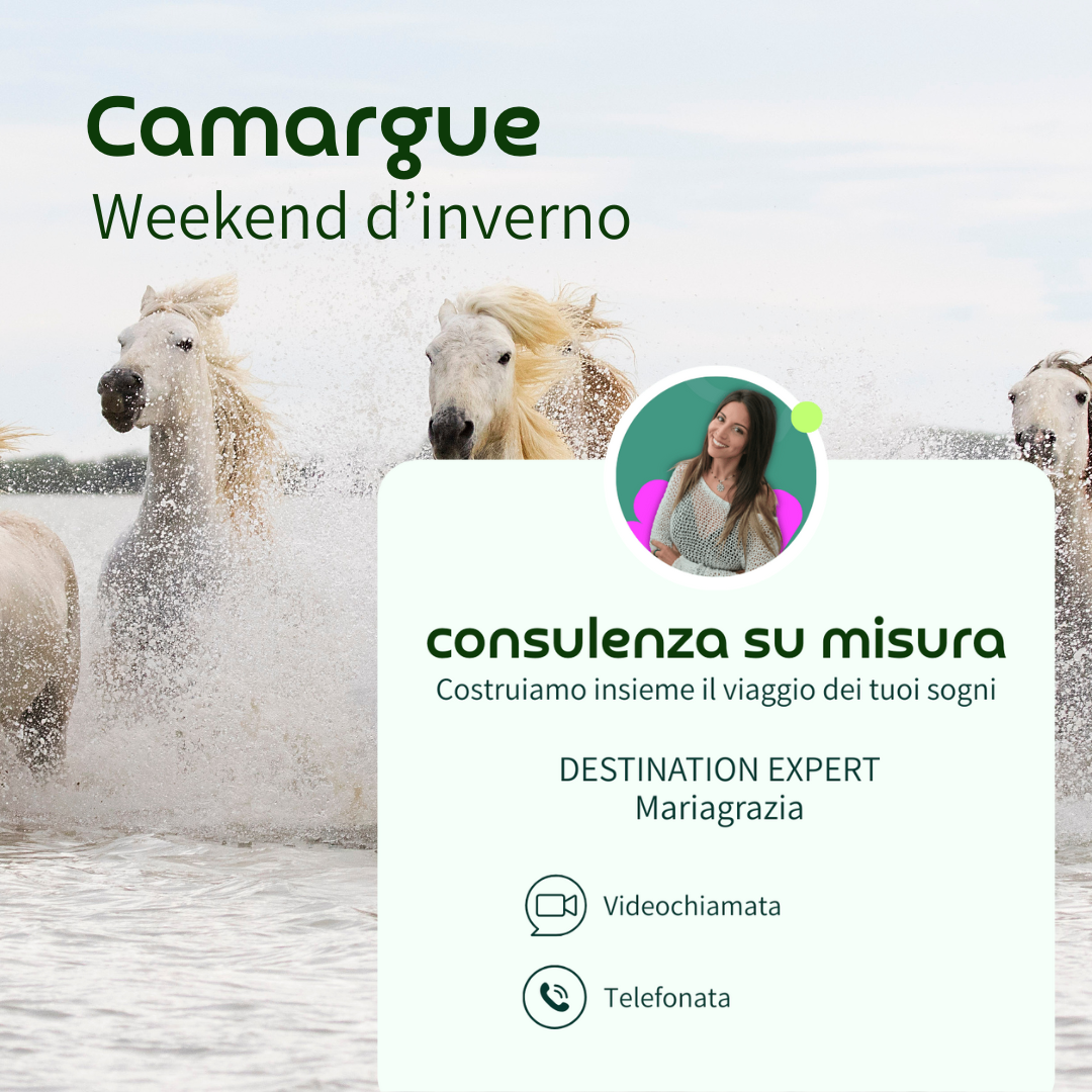 camargue consulenza.png