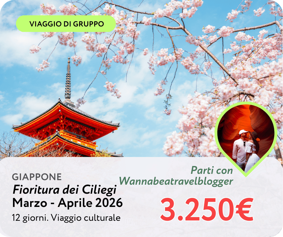 giappone fioritura.png