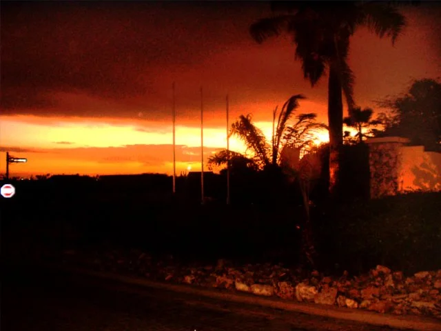 Sunset with dark clouds, silhouette of palm trees, and power poles in a tropical or coastal area.