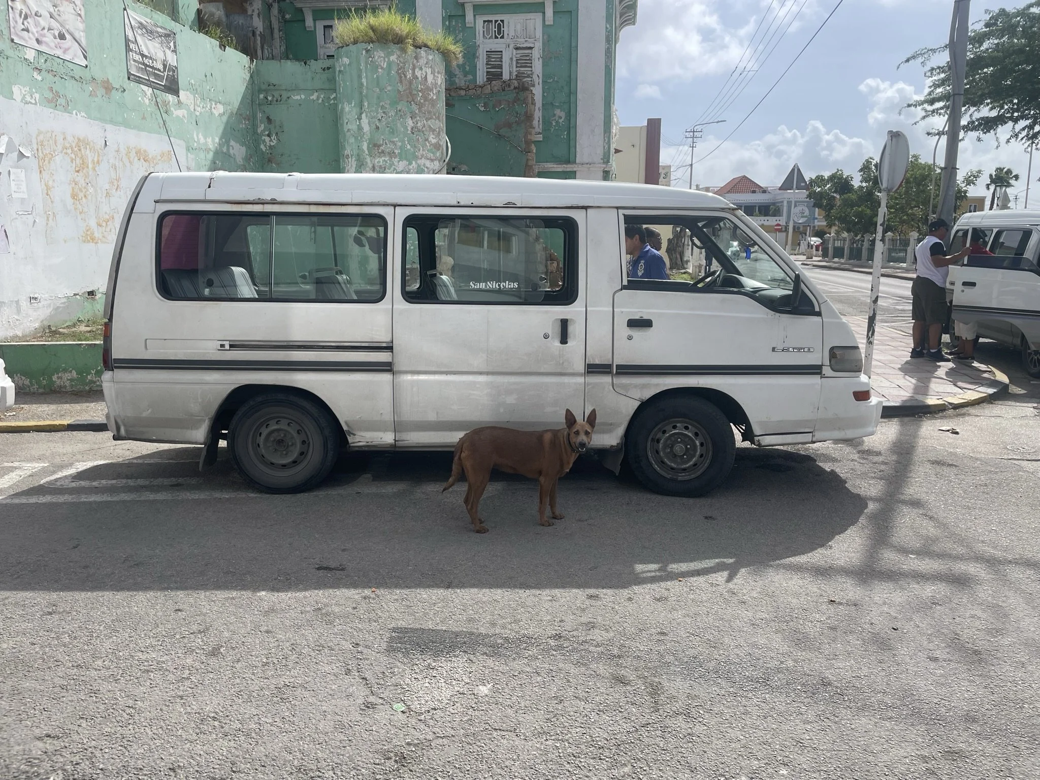 IMG_8756.JPEG
