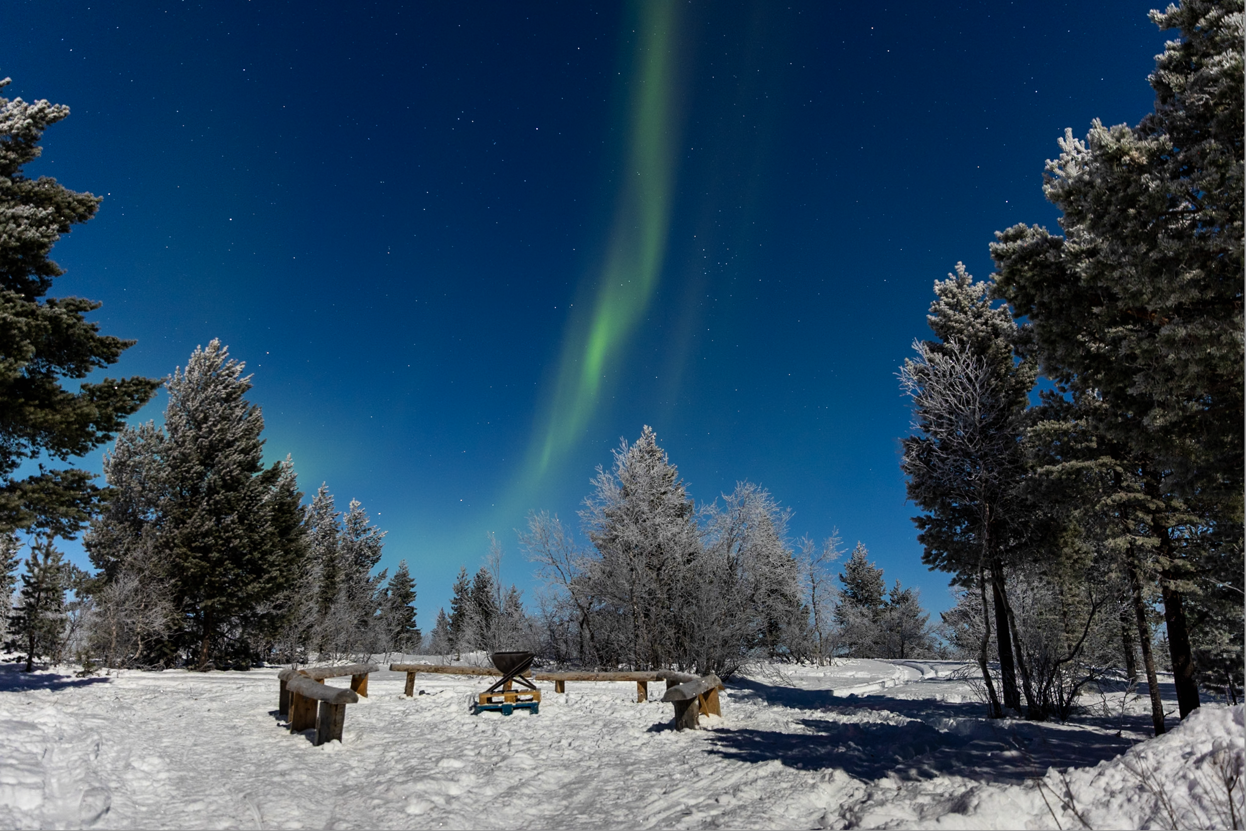 December diary: shoots, sniffles, and a very chilly Santa 🎄