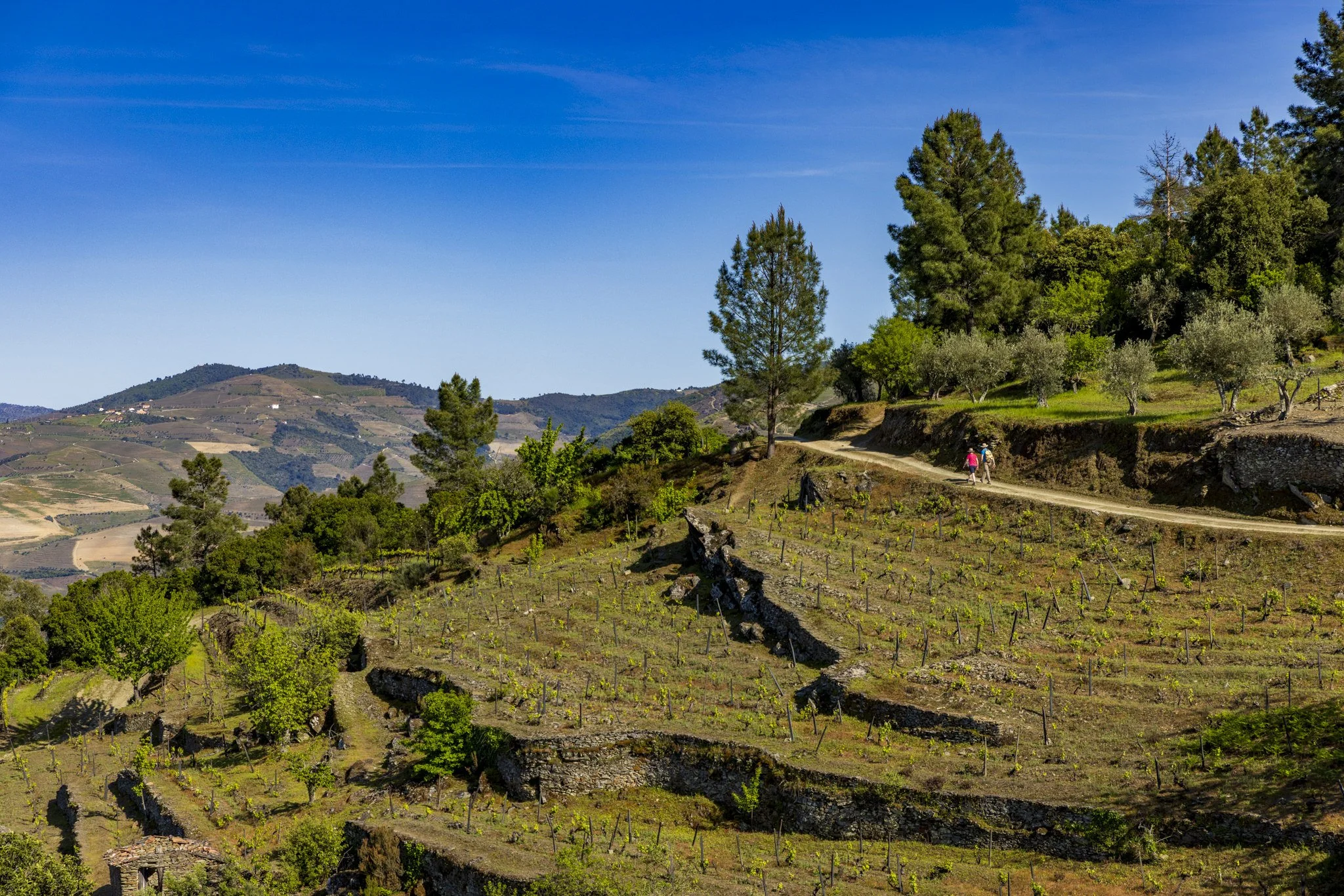 Five Ways Walking Holiday Brands Can Win on Instagram in 2026