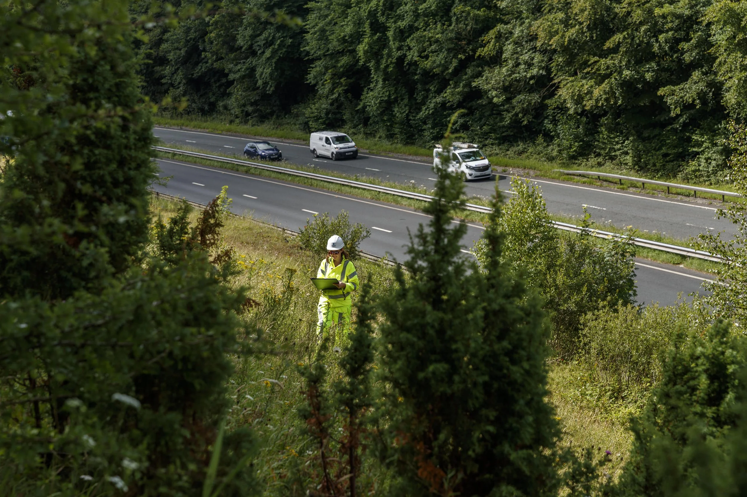 A person in a yellow safety vest and helmet inspecting the roadside with a clipboard as cars drive by on a highway surrounded by dense trees.