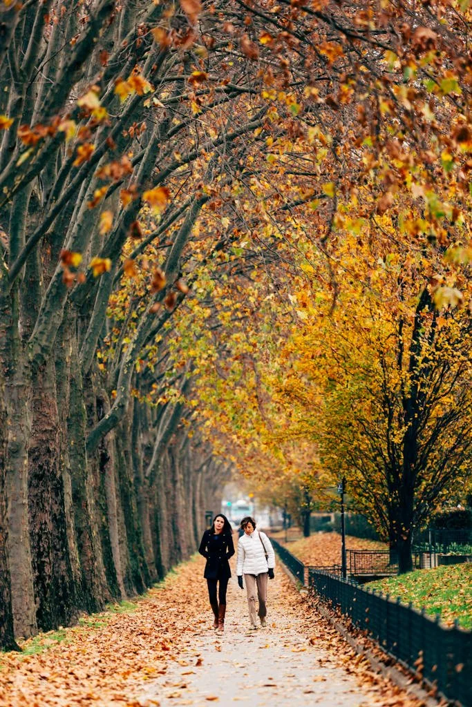 Two women walking along a tree-lined path covered with fallen autumn leaves