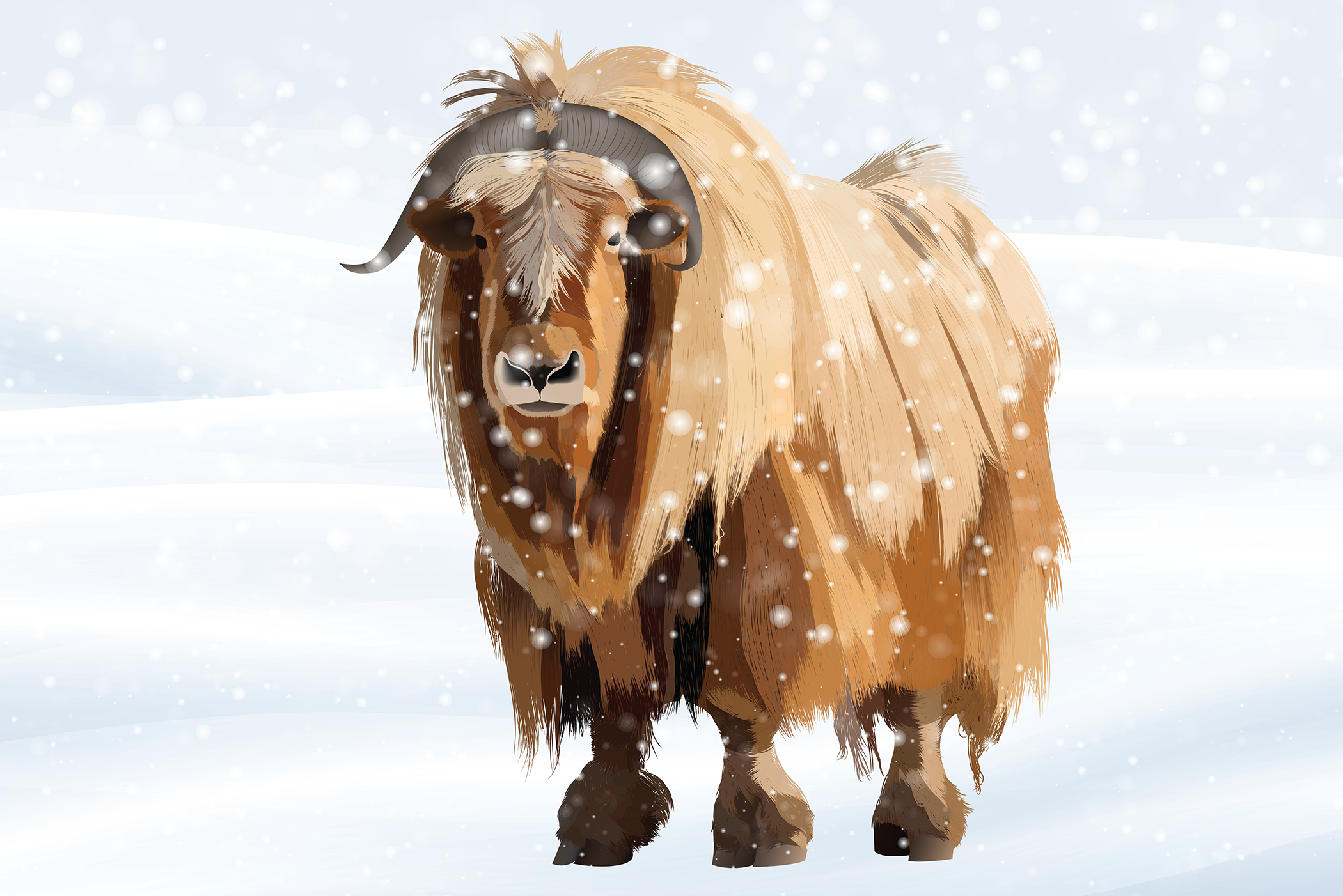 Musk Ox 0102.png