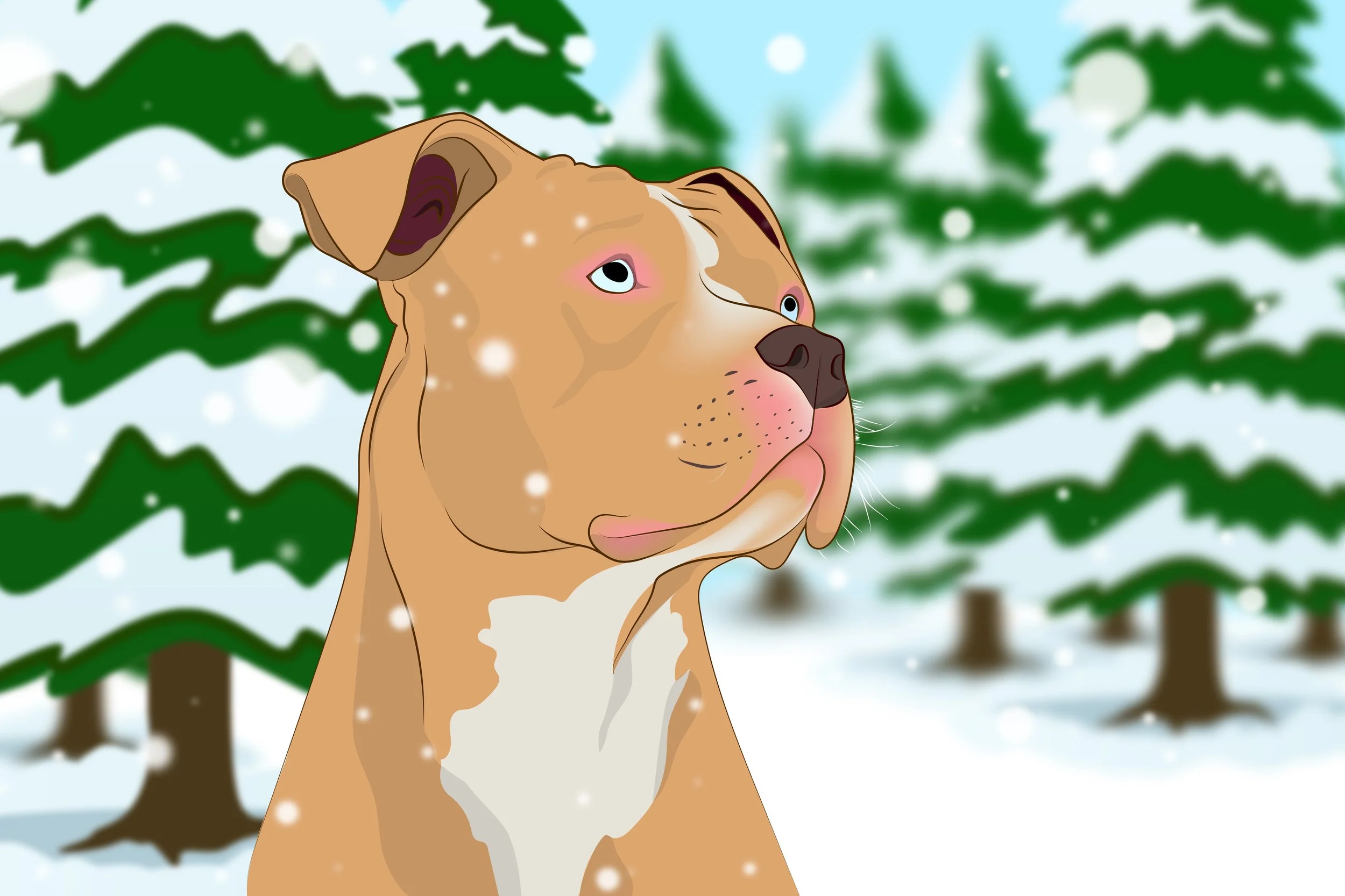 Pitt Bull 02.jpg