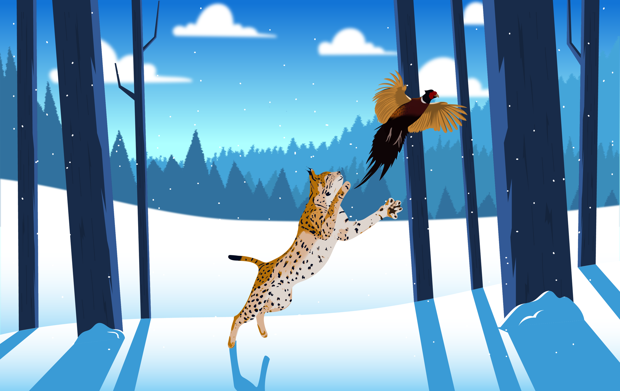 Bobcat Leaping for Pheasant