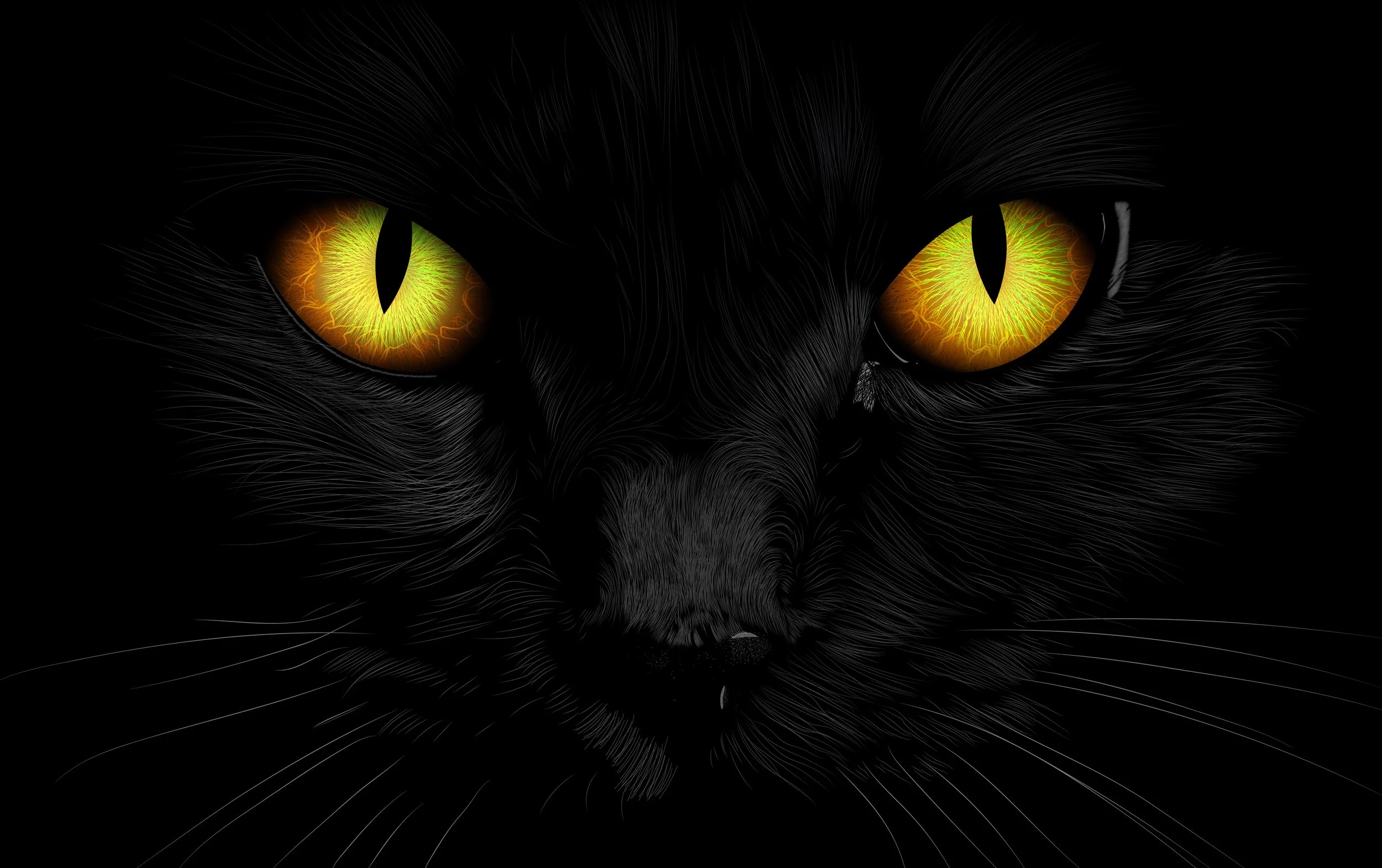 Black Cat Eyes.jpg