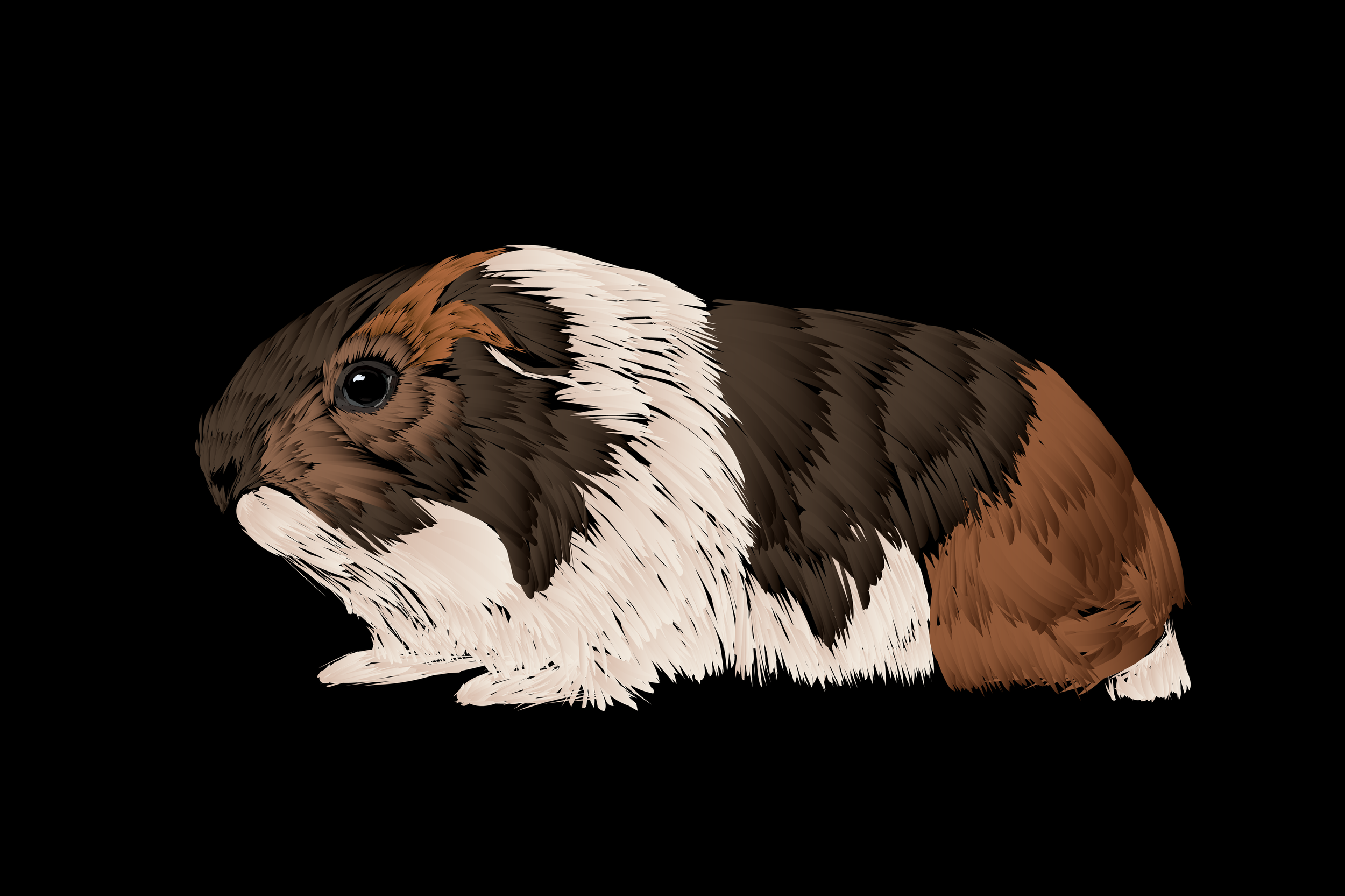 Guinea Pig.png