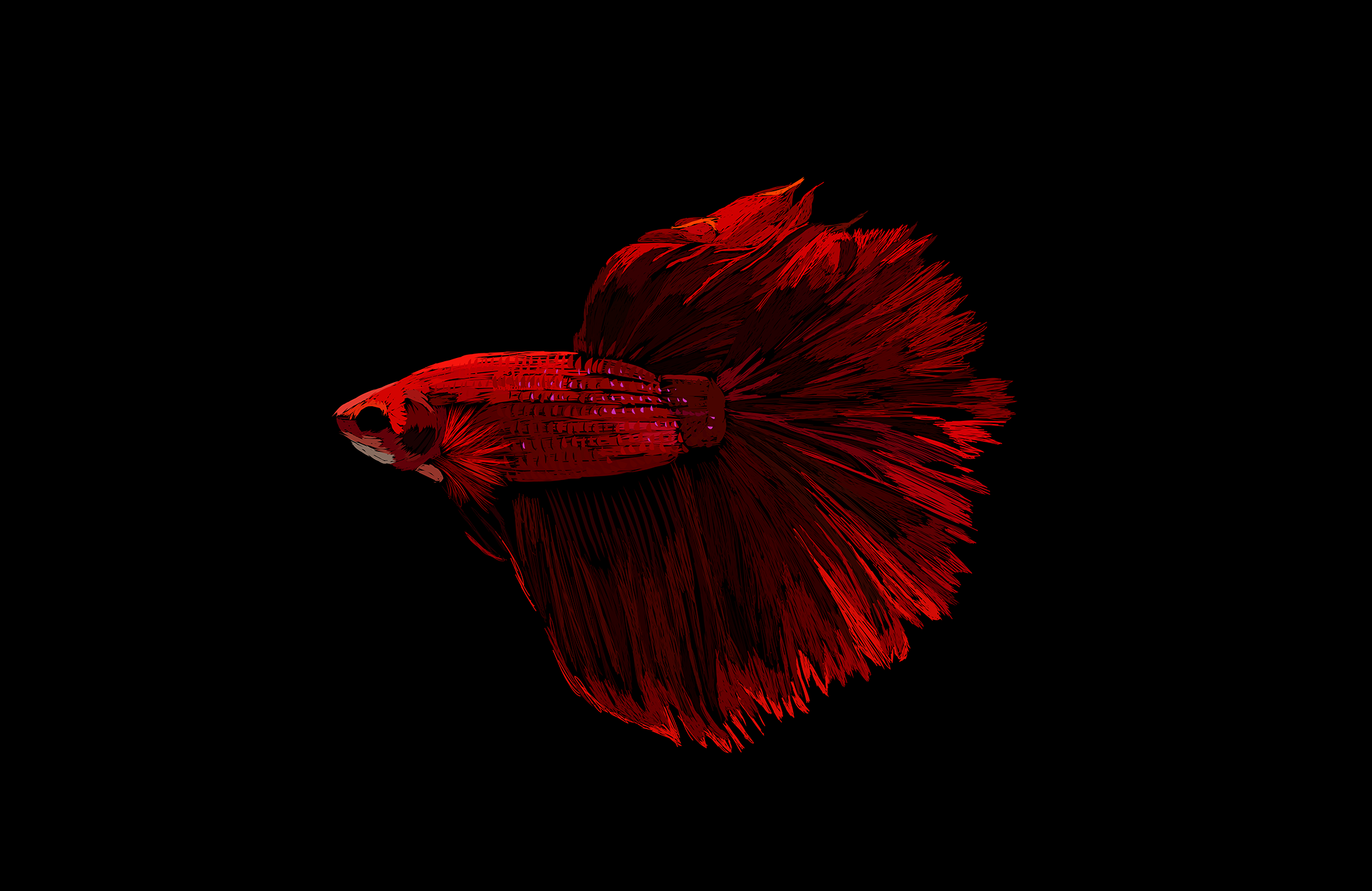 Beta Fish edit2.png