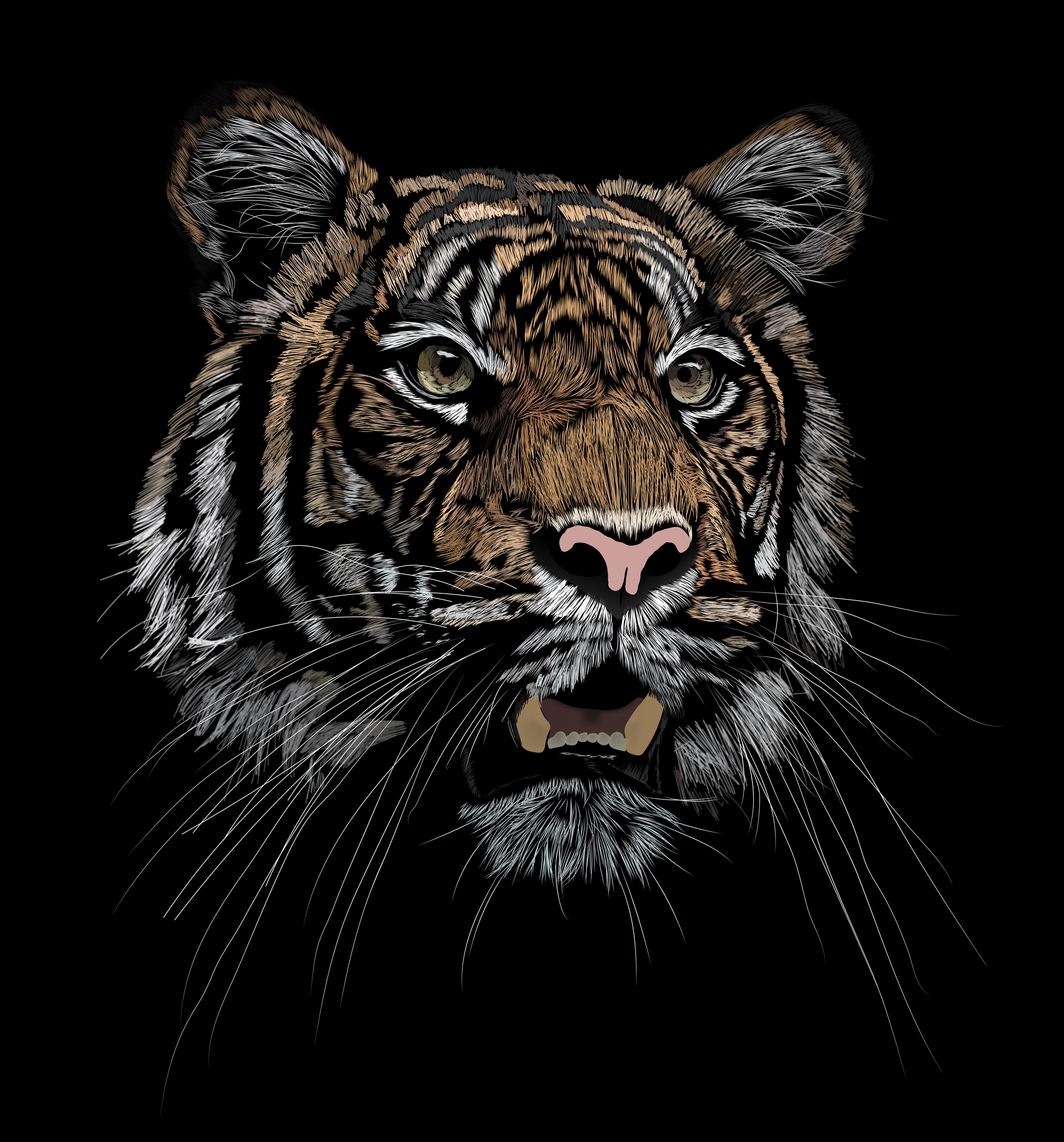 Tiger.png