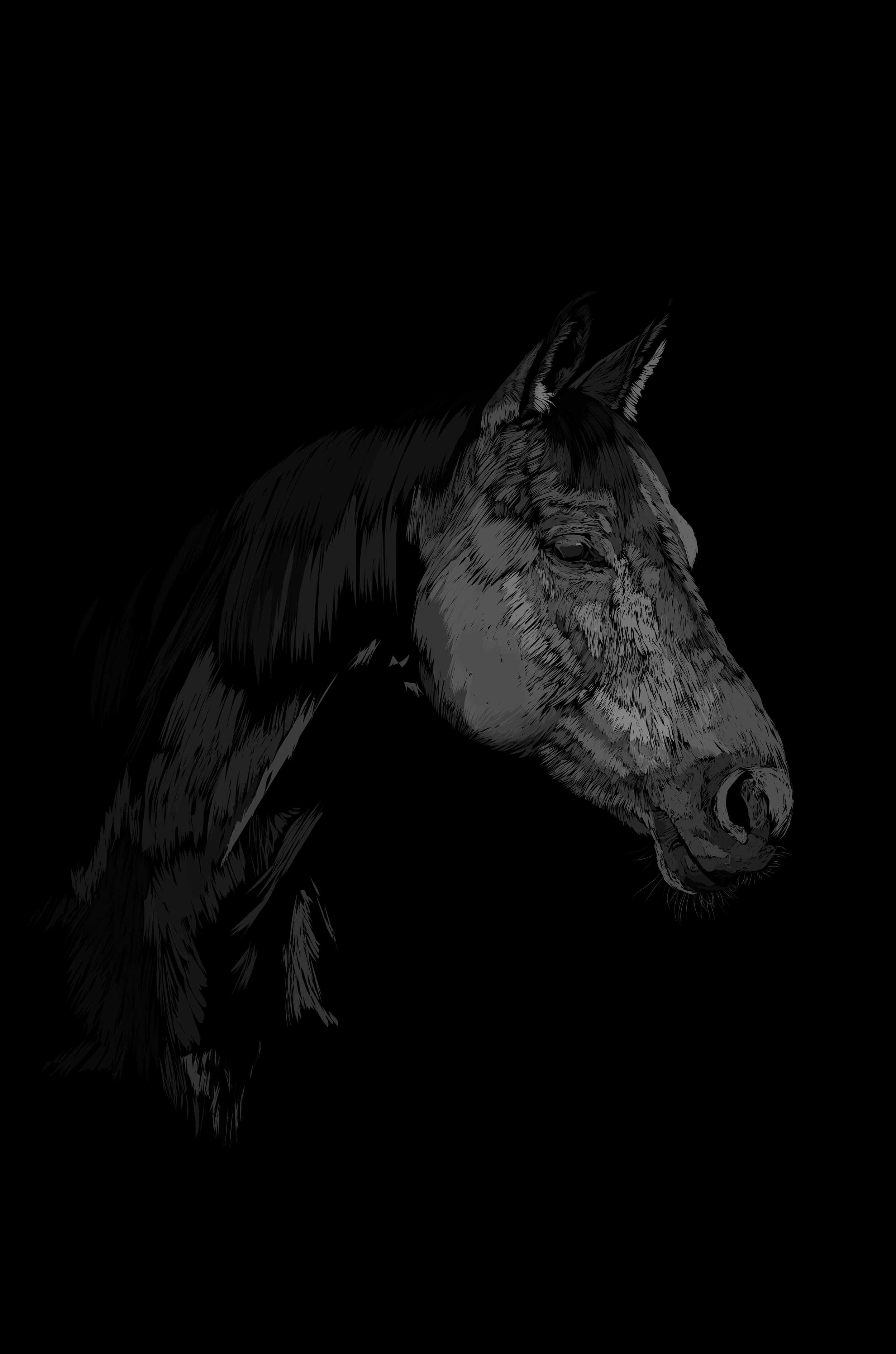 Horse Head.png