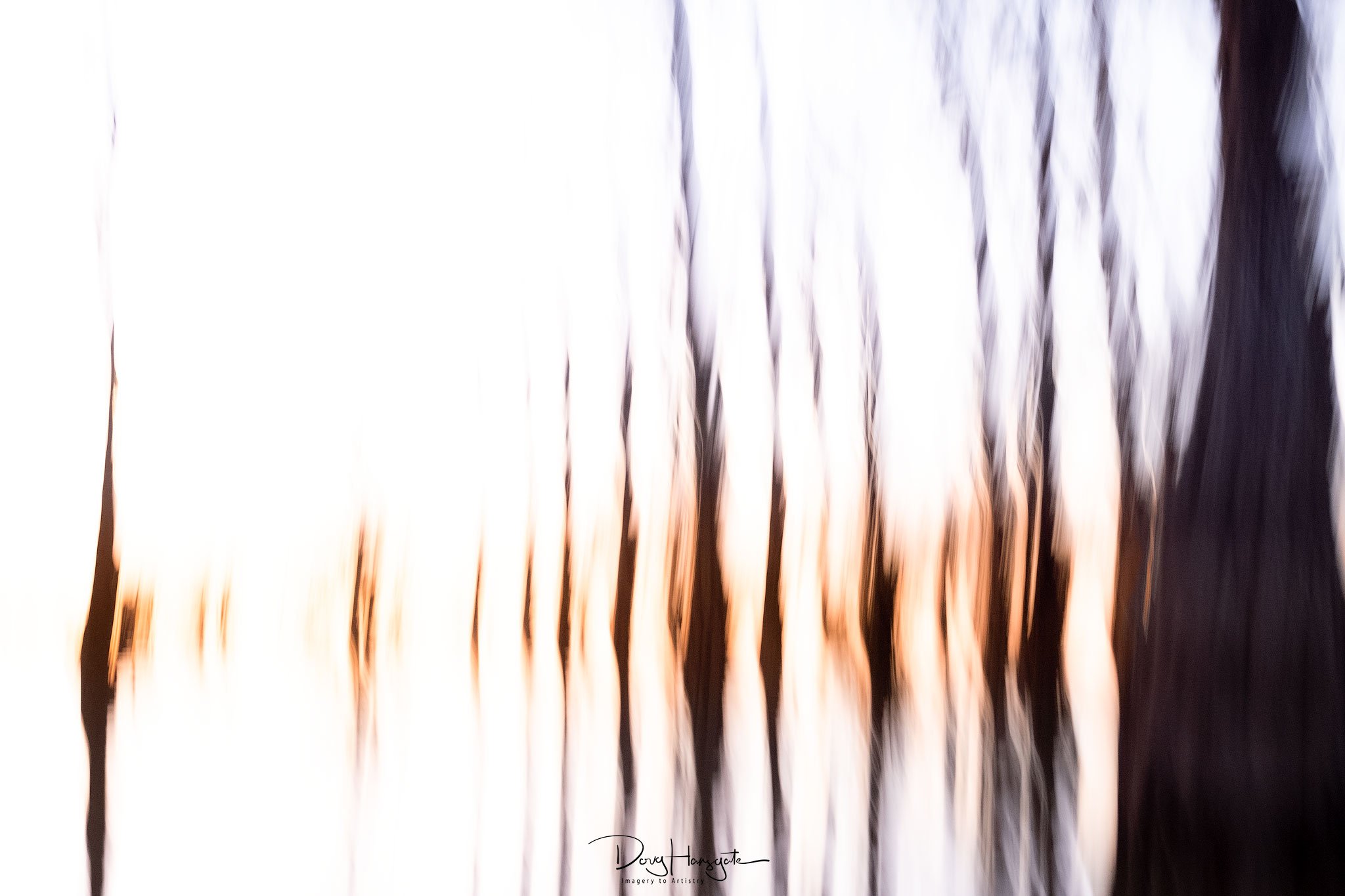 20201102-_DSF6263_Web.jpg