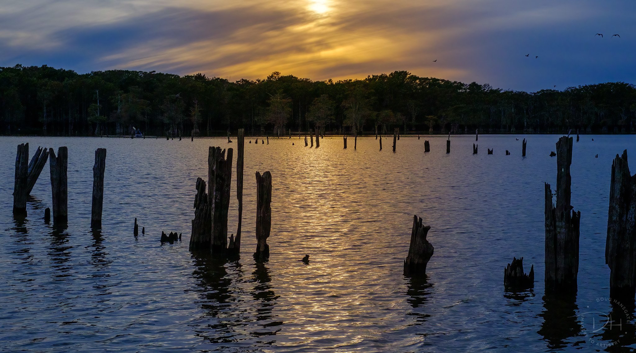 20231106__DSF4093-Edit-_Web.jpg