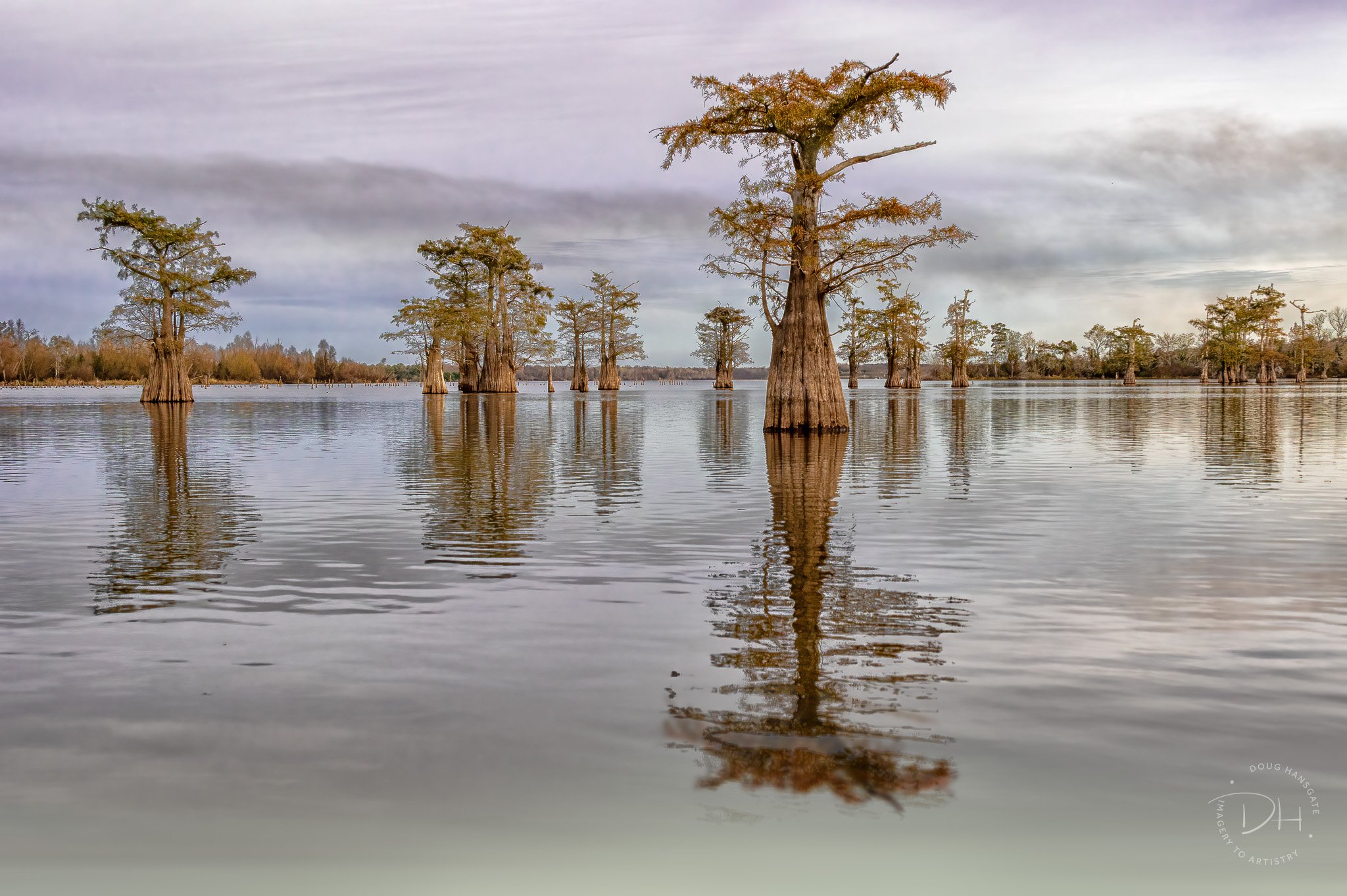20231106ShellBeach-8041-Edit-Edit.jpg
