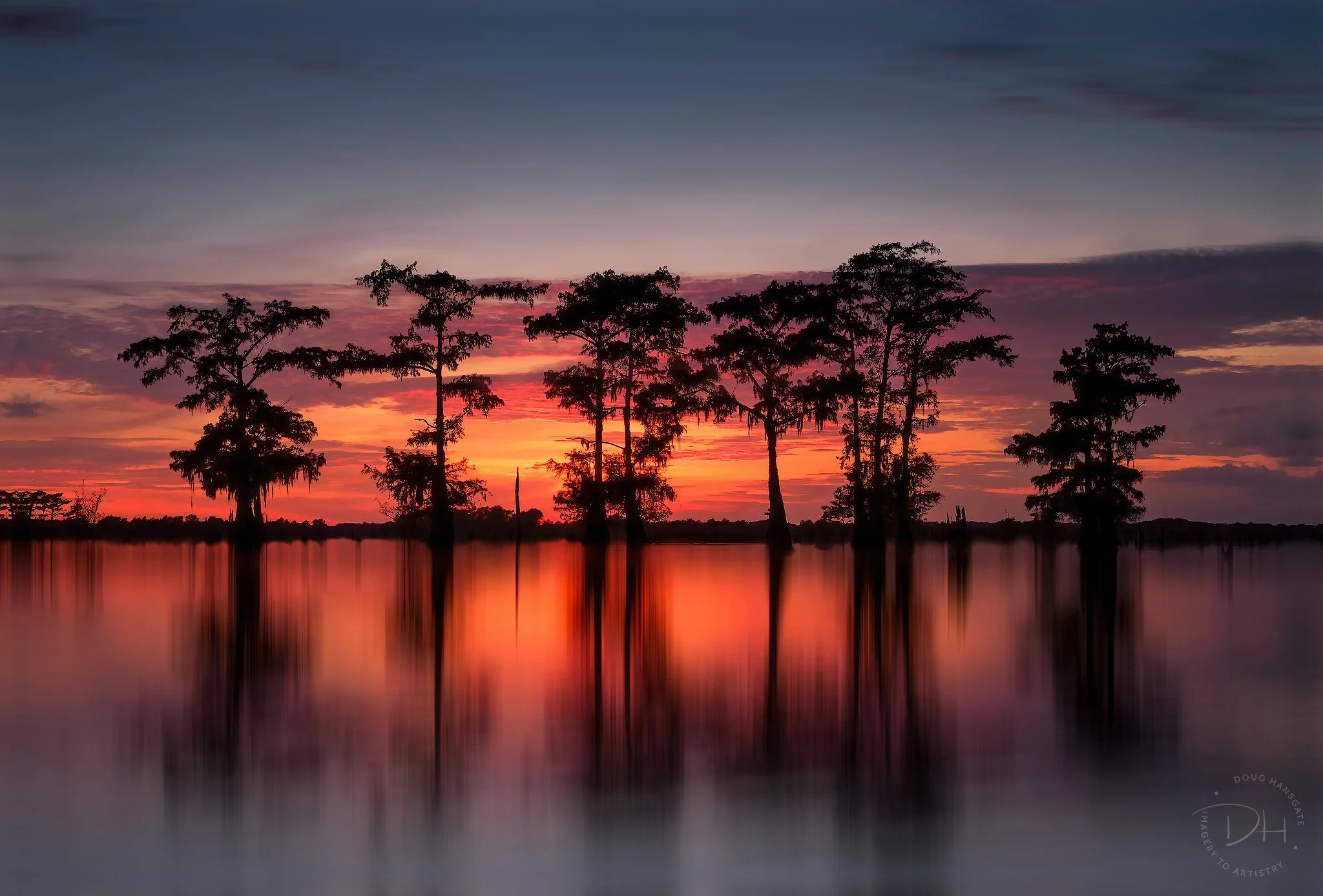 A stand of 6 cypress trees is in water as the setting sun of late evening light with orange and red light is reflected behind and in front of them
