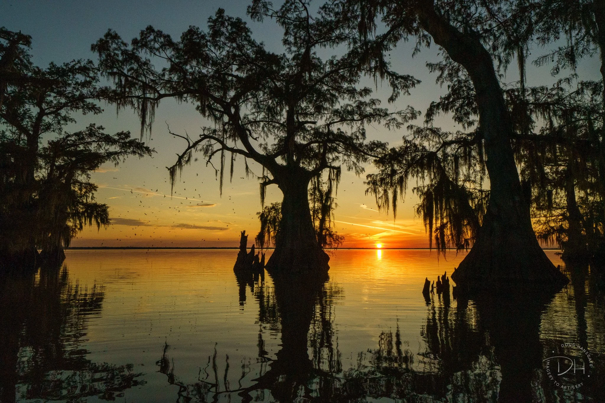 The setting sun burns bright orange as it touches the horizon line of the lake. Viewed through a stand of cypress trees silhouetted in the foreground