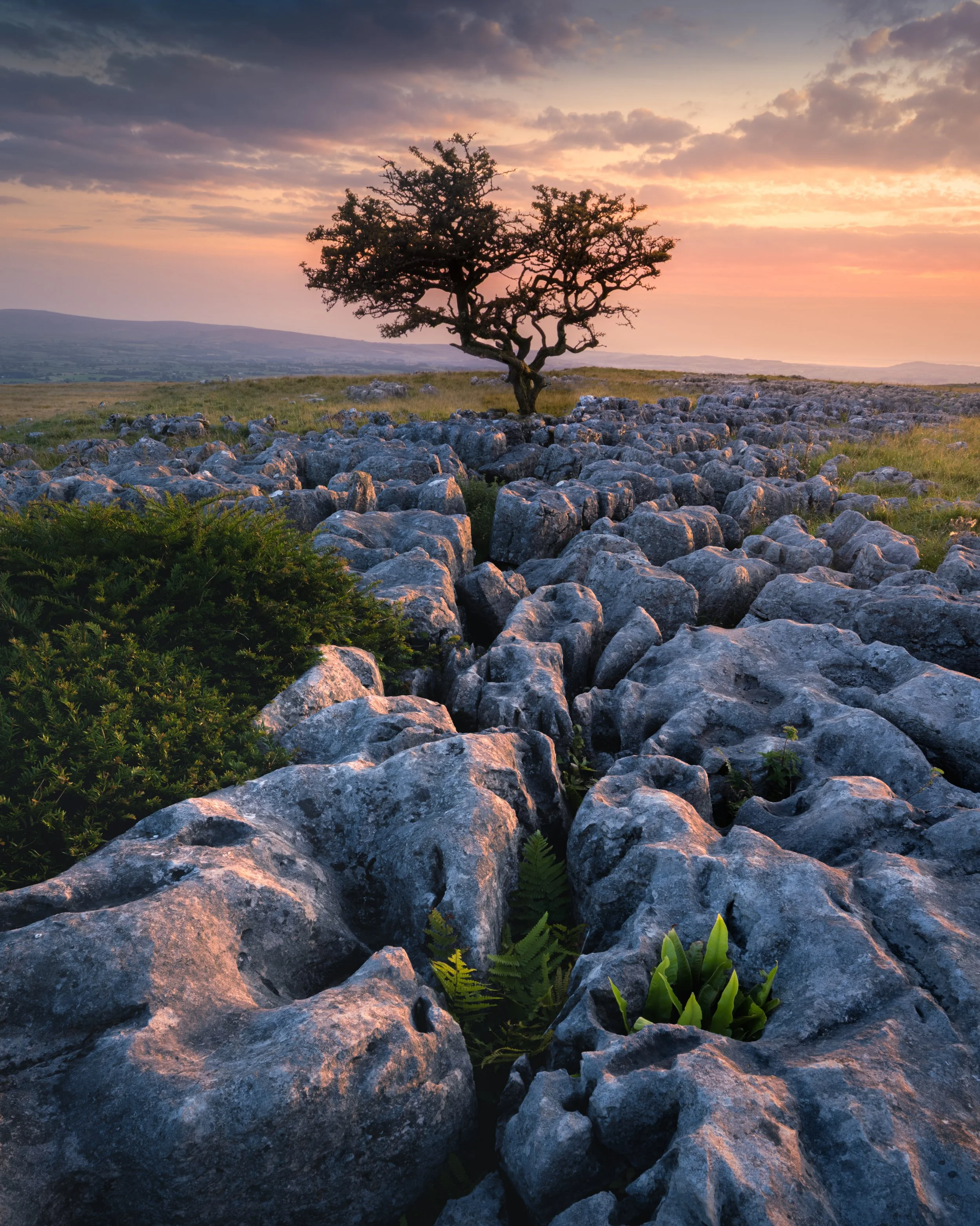 DSC_5423-HDR-Edit-Edit.jpg