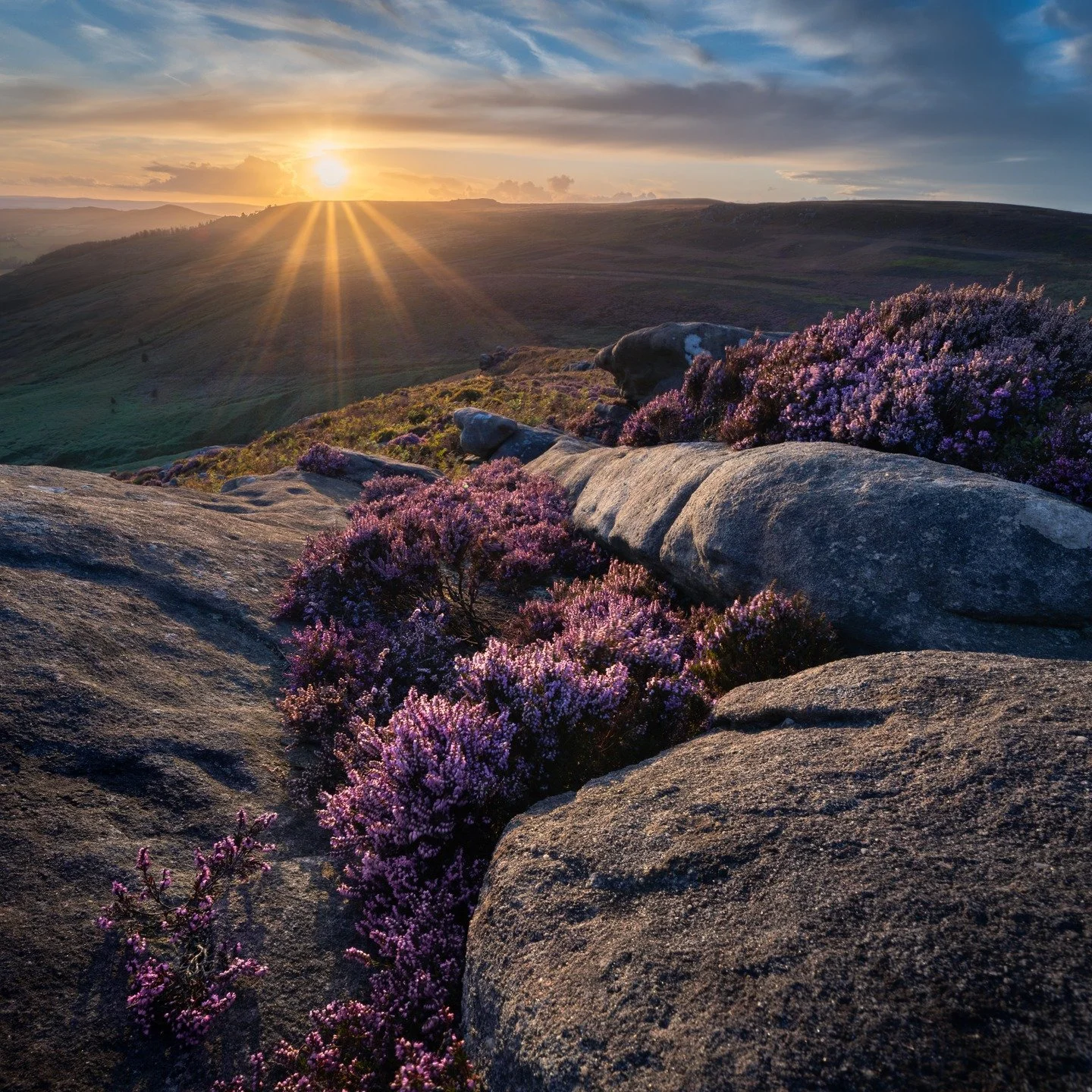 Some shots from the last days of summer at Embsay Crag.
The last light spills across the vivid heather, rocks leading the eye toward the setting sun...
#EmbsayCrag #Skipton #HeatherSeason #YorkshireDales #SunsetGlow #NaturePhotography #LateSummerVib