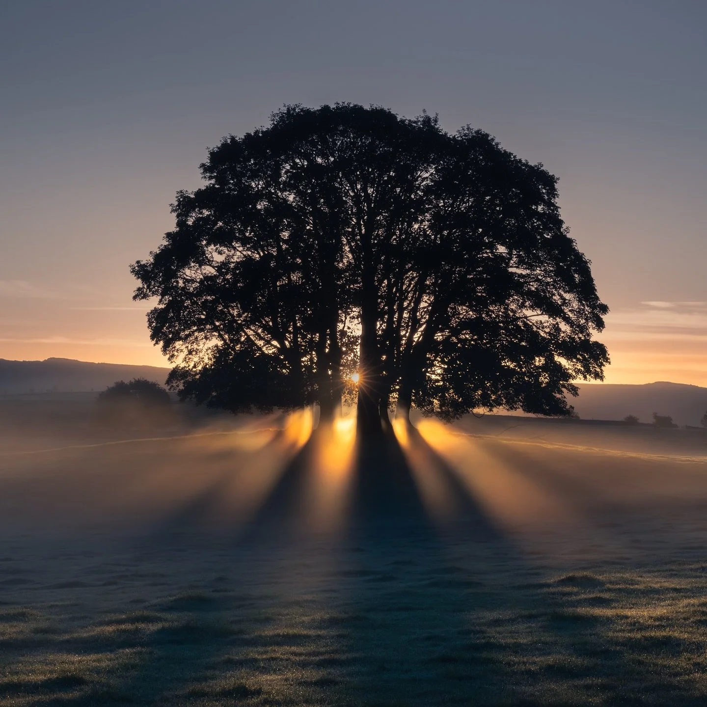 Misty sunrise in Eshton, Yorkshire 
Golden rays cut through cool blue mist, creating a striking play of light and shadow. 
#UKLandscapes #MoodyMorning #PeacefulNature #explore_countryside
#excellent_britain #splendid_trees #hugs_for_trees #forthelov