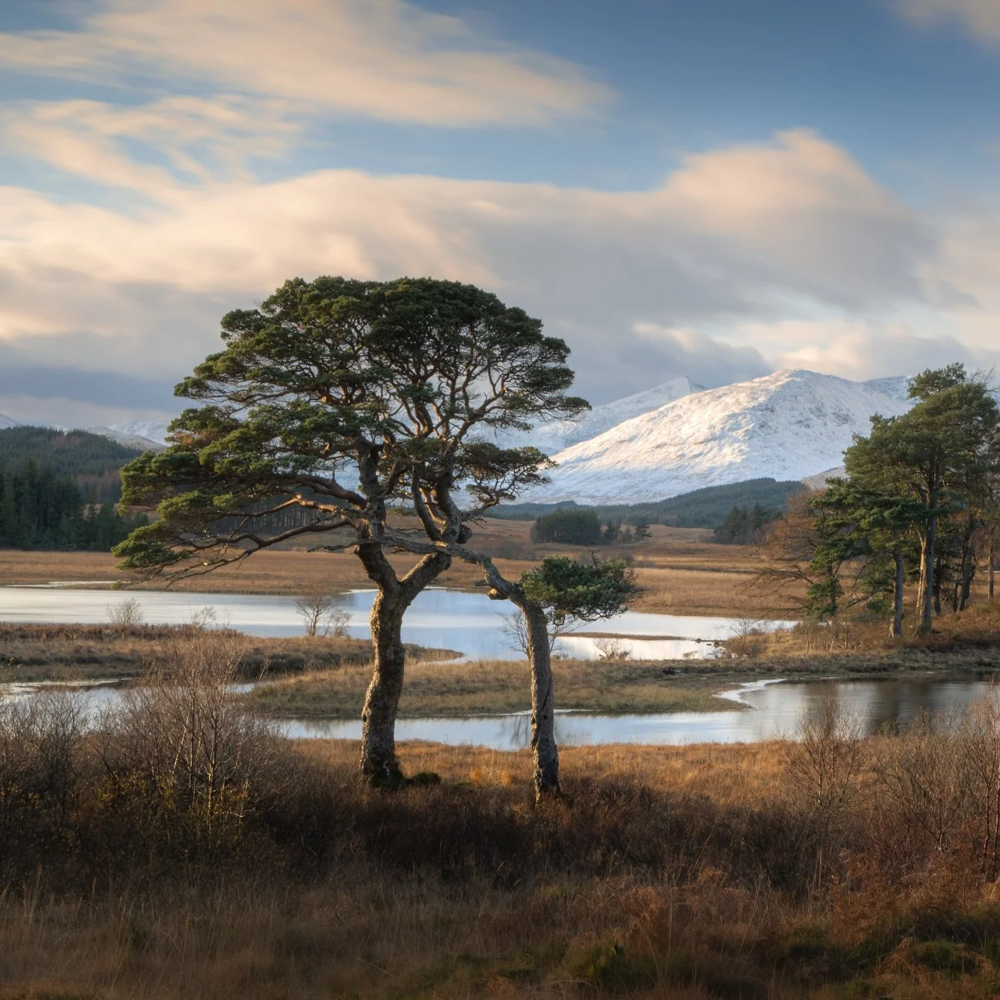 Golden hour at Loch Tulla
The soft evening light brushed the lone pine and snow-covered peaks, creating a simple but powerful winter composition. Scotland at its calmest and most beautiful.

#Scotland #LochTulla #Highlands #LandscapePhotography #Wint