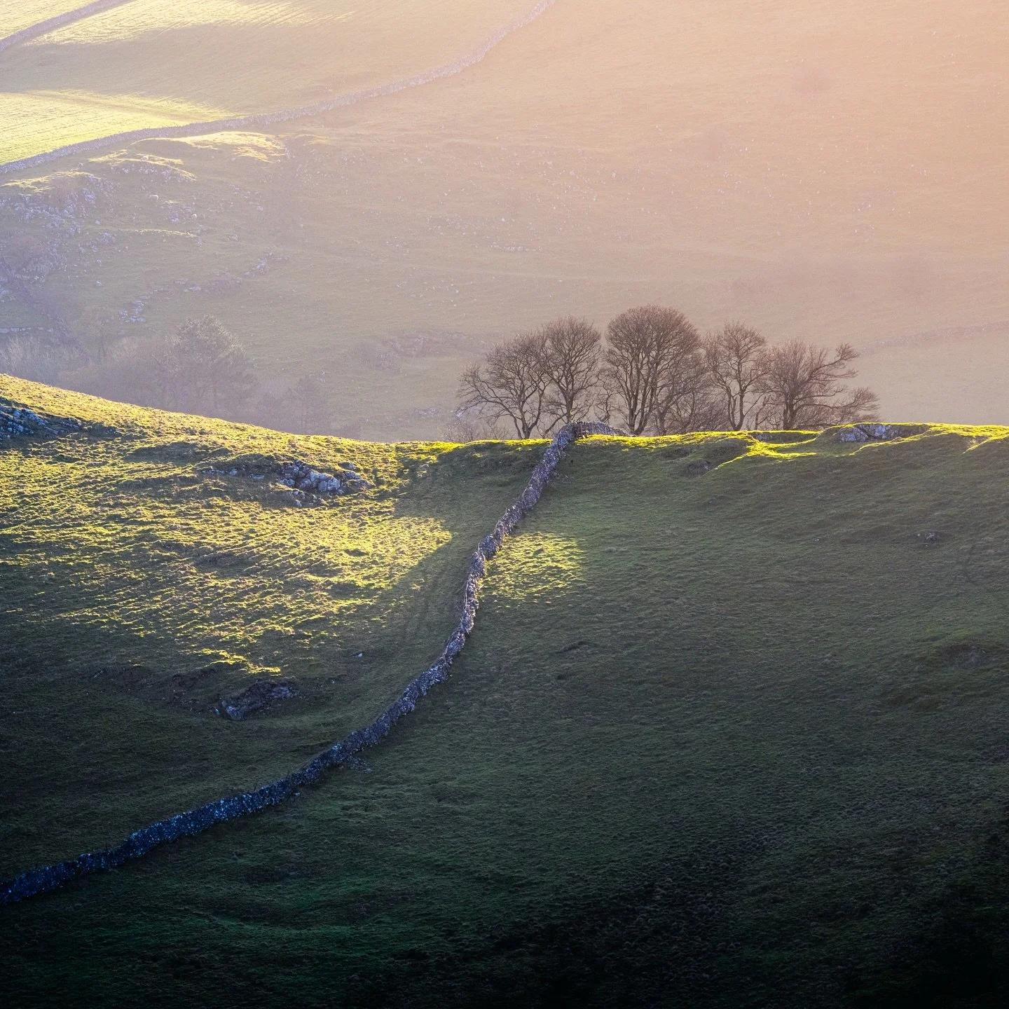 First light on a crisp winter morning in the Peak District.

#PeakDistrictPhotography #WinterSunrise #MorningVibes #VisitEngland #LandscapePhotography