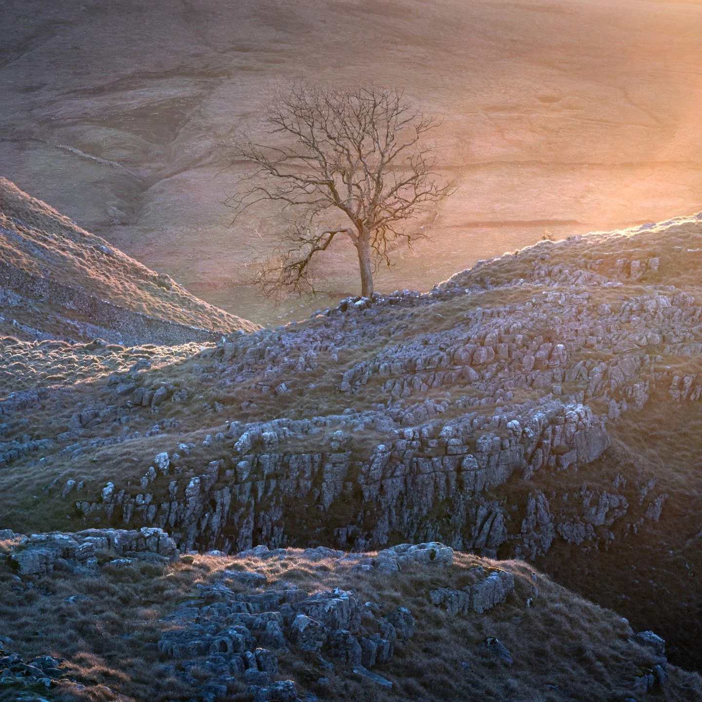 Sunrise light in Malham, Yorkshire Dales 

I enjoy visiting this place. It feels special when the soft morning glow shapes the limestone.

#Malham #YorkshireDales #SunriseLight #UKLandscapes #LandscapePhotography #ChasingLight #MorningMood #NaturePho