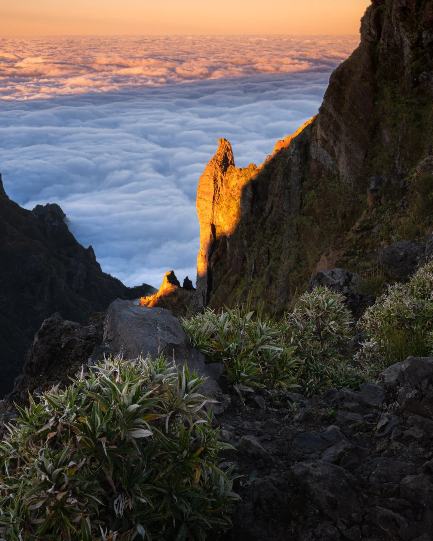Last light at Miradouro Pedra Rija, Madeira.
 The sun was already gone, but a narrow channel of light found its way through the mountains, lighting up the cliffs above a sea of clouds. 
#visitmadeira #madeira #discovermadeira #earthfocus #stayandwand