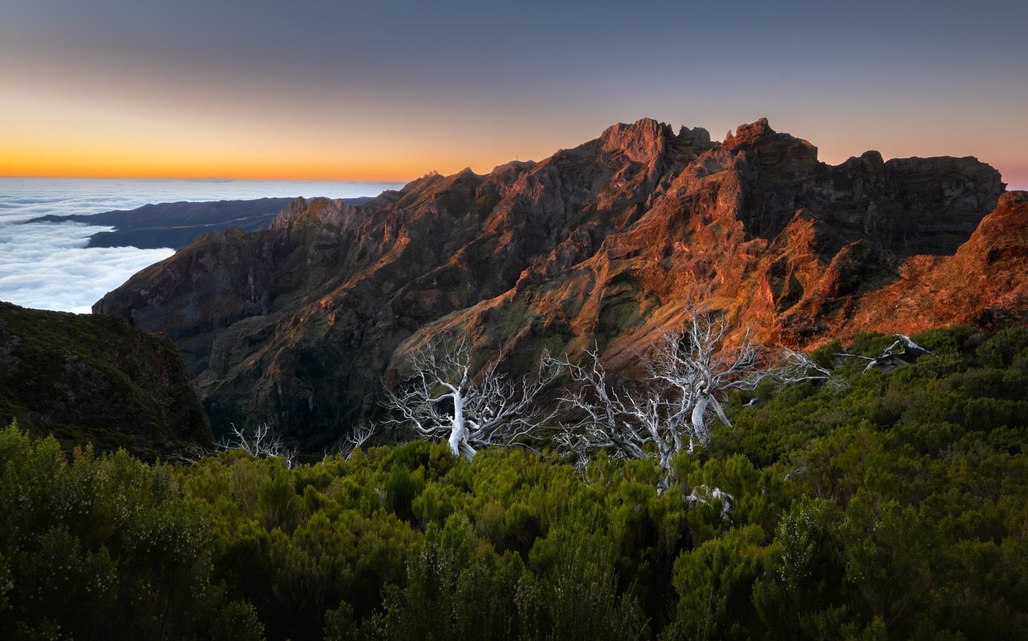 Pico Ruivo 
Hiked up to Pico Ruivo in the dark, hoping the conditions would align.
When that first light hit, the mountains picked up the most vivid oranges, turning the jagged peaks of Madeira into liquid fire for a few fleeting minutes. 
#Madeira #