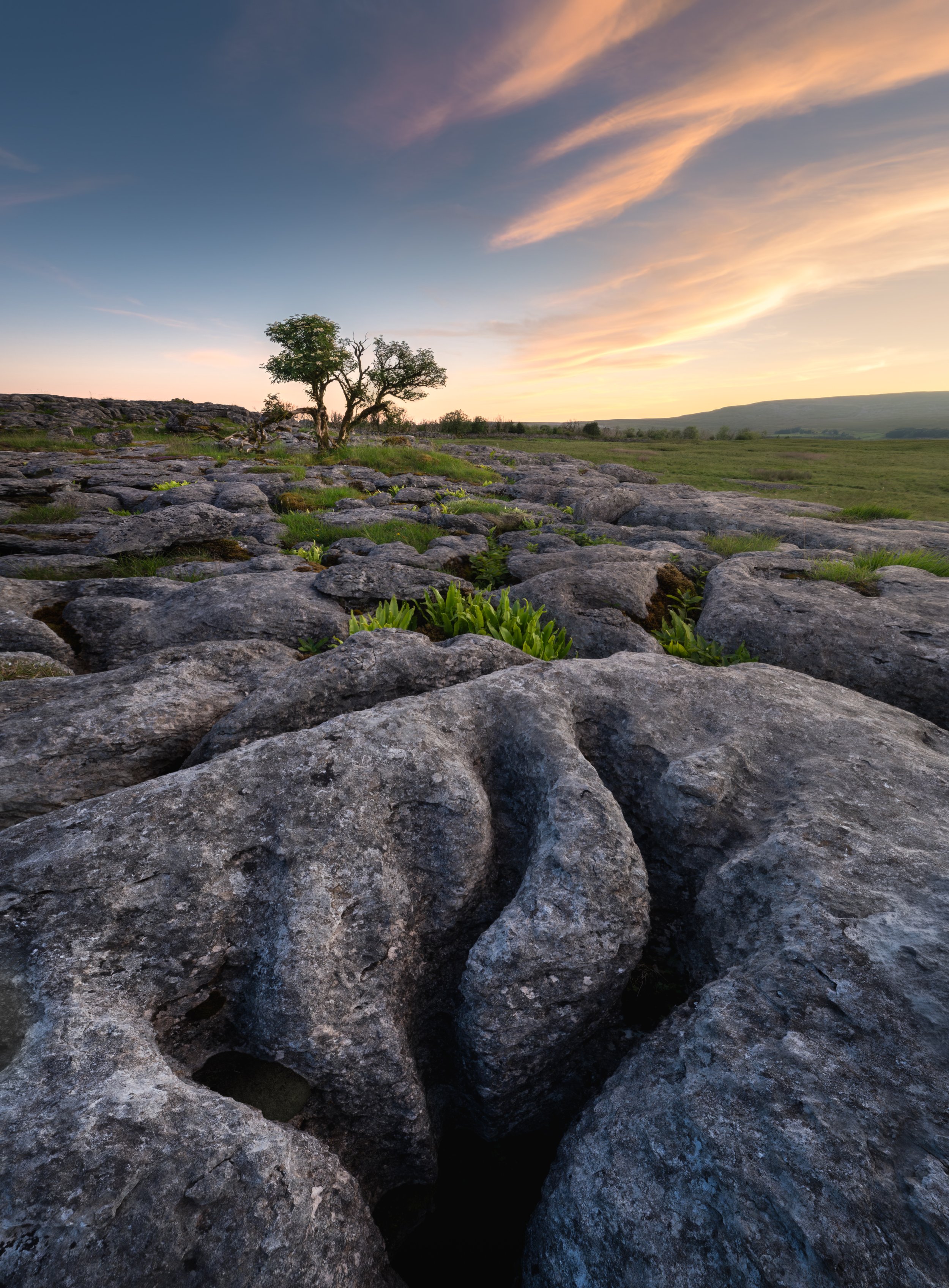 DZ8_1995-HDR-Edit-2.jpg