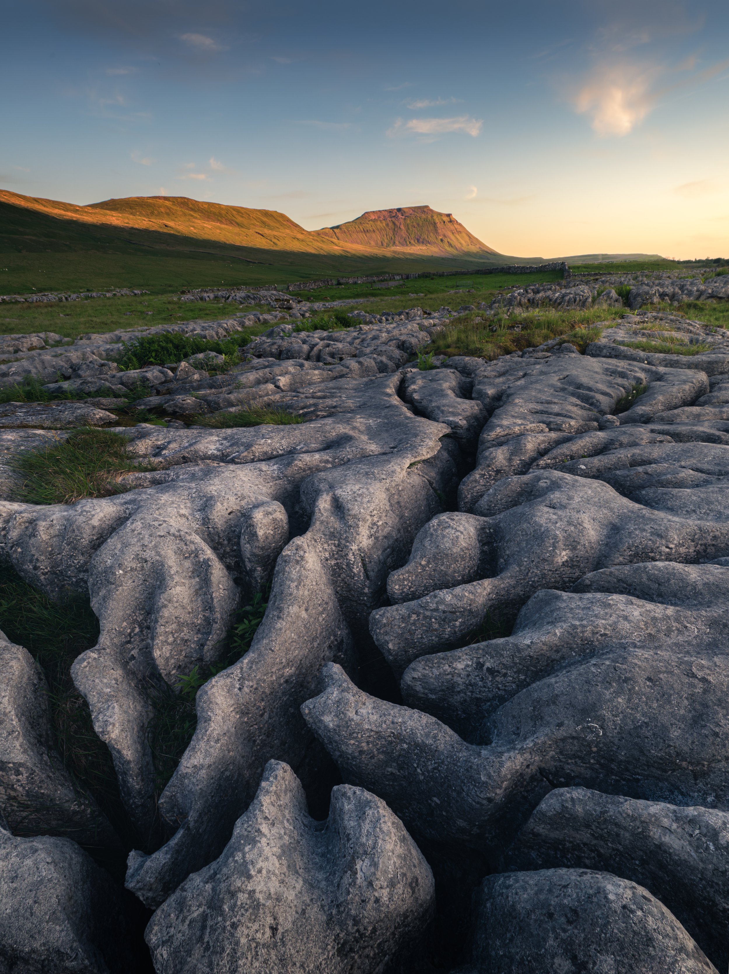 DZ8_1770-Edit-Edit-Edit.jpg